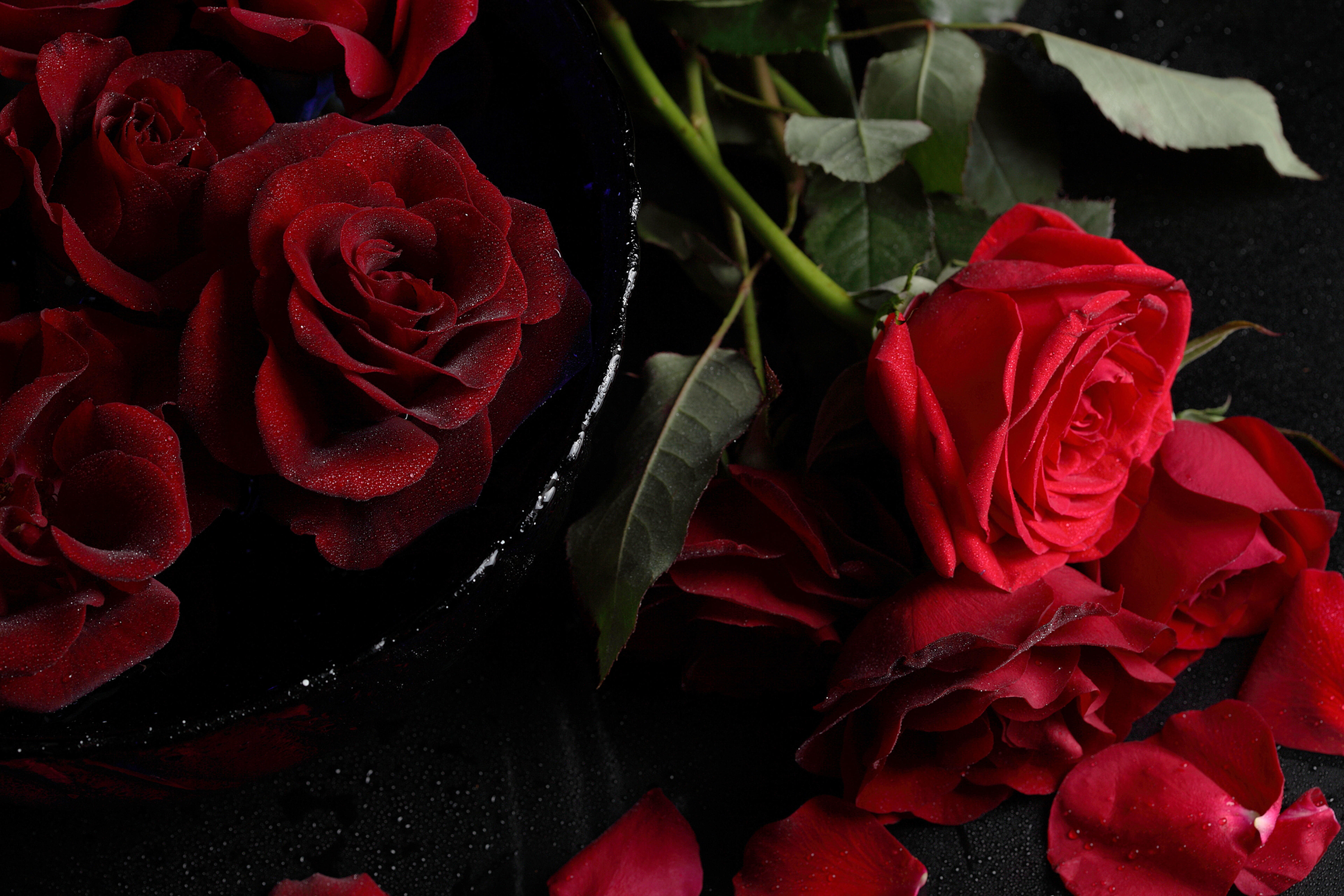 Бесплатное фото Красивые обои розы, флора