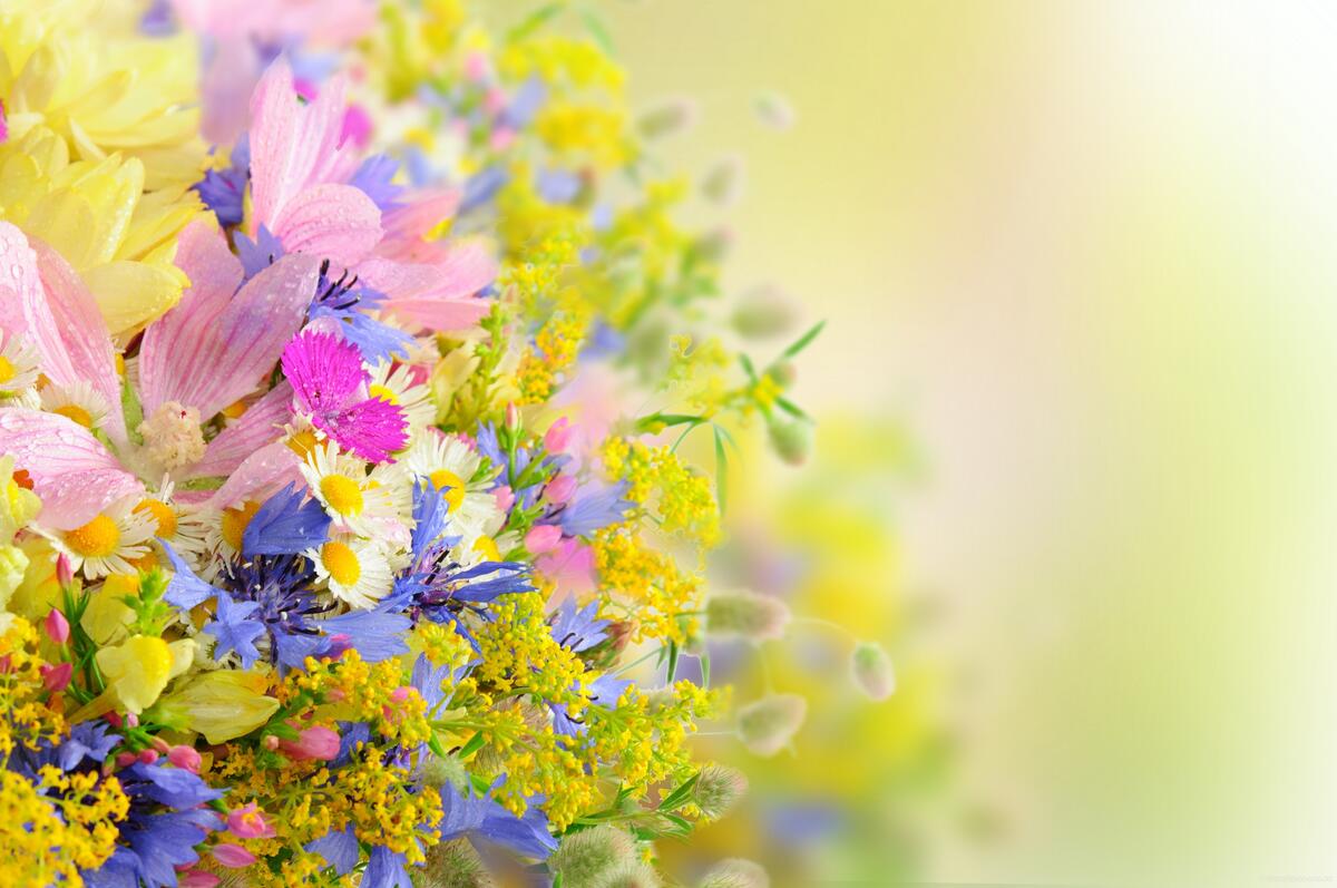 Beautiful flora screensaver, bouquet
