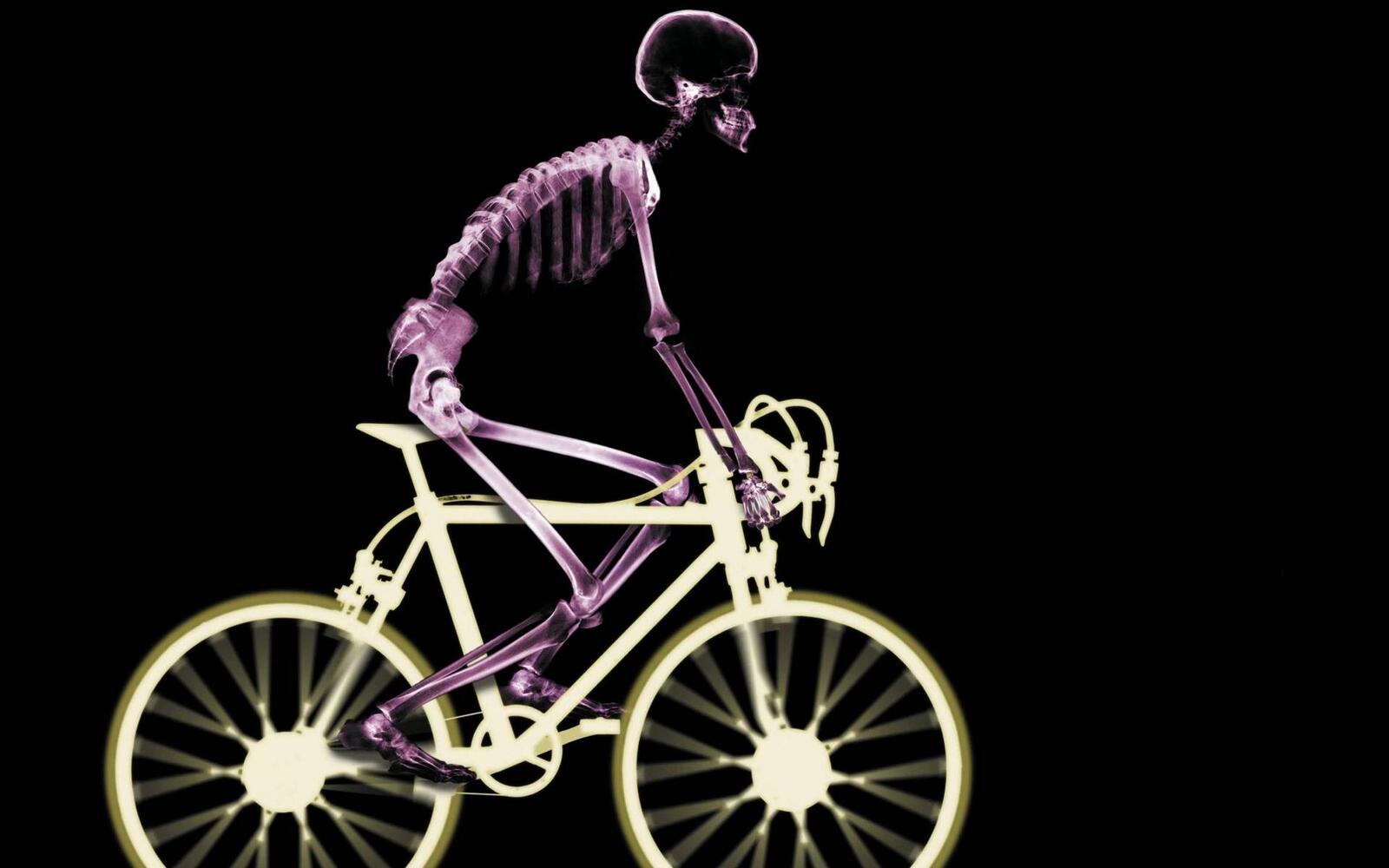 Обои человек скелет велосипед на рабочий стол