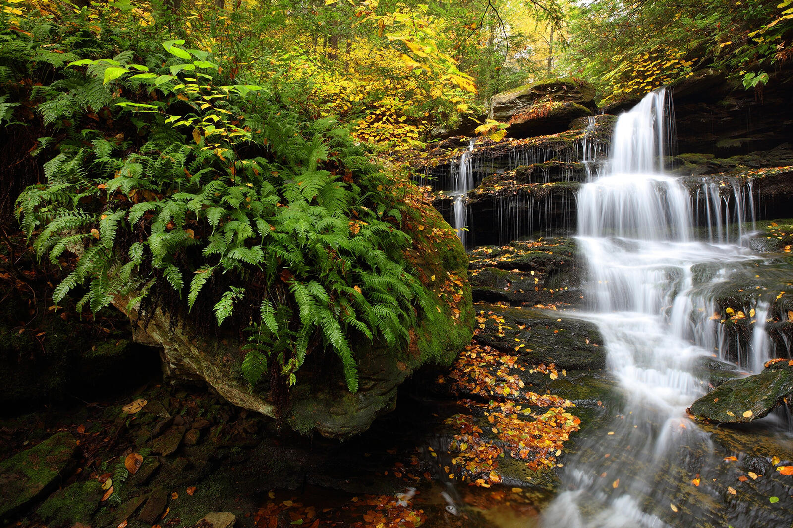 Обои Hidden Falls Rickets Glen State Park осень на рабочий стол