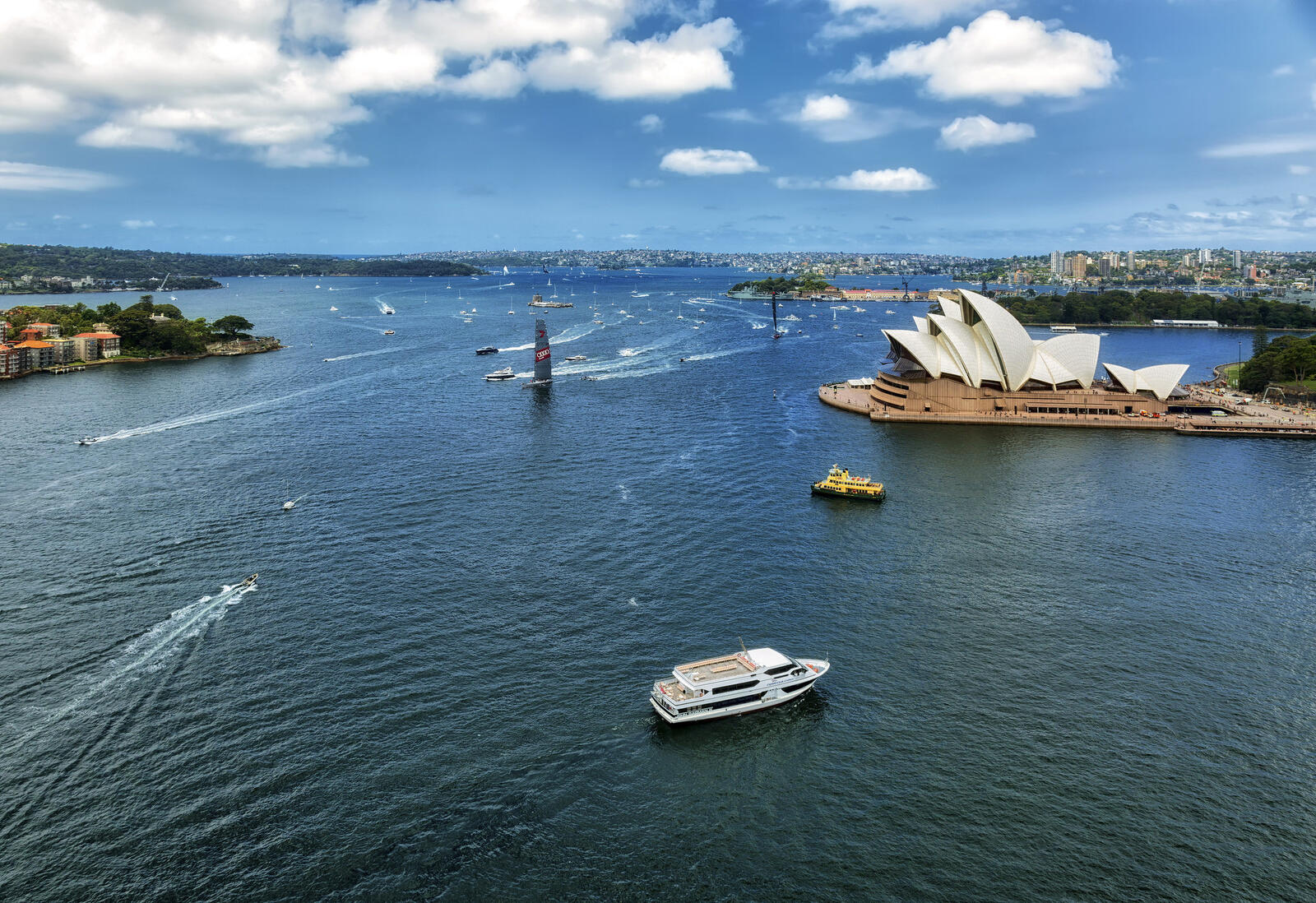 桌面上的壁纸澳大利亚 船只 悉尼