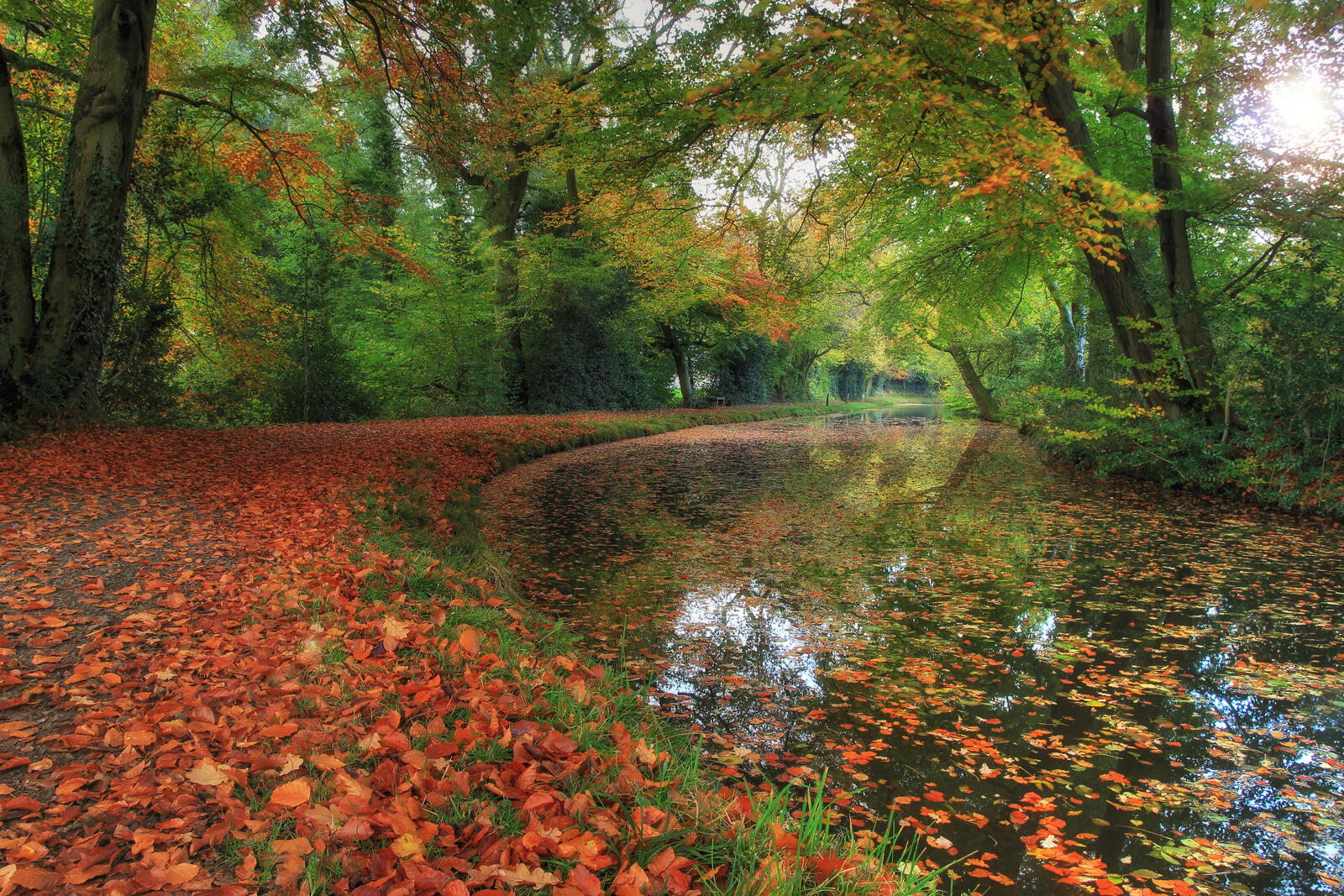 Wallpapers autumn trees canal on the desktop
