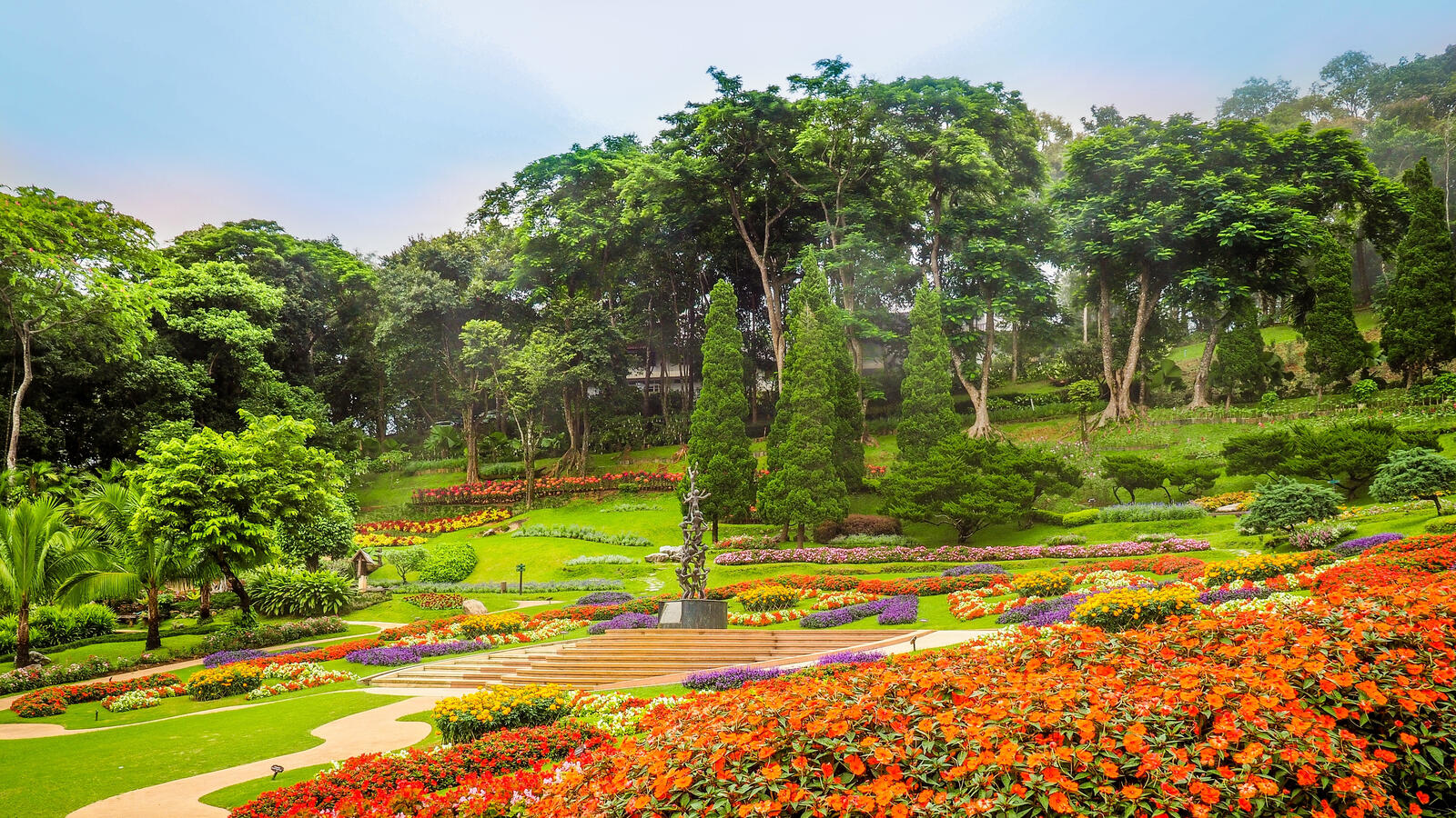 Wallpapers flowerbeds Chiang Rai Thailand on the desktop