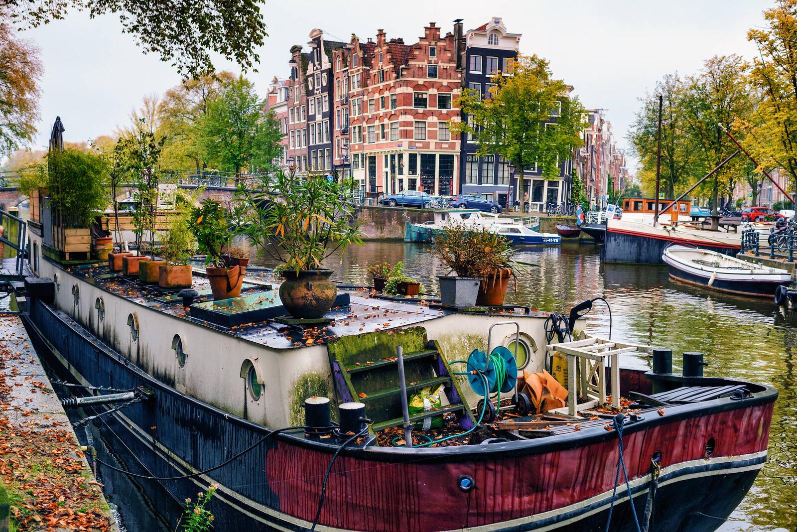 Бесплатное фото Фото нидерланды, амстердам в хорошем качестве