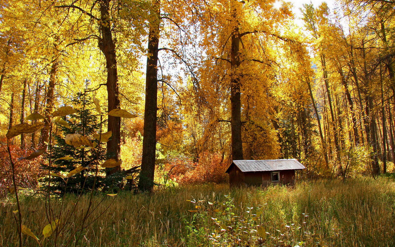 Wallpapers house nature autumn on the desktop
