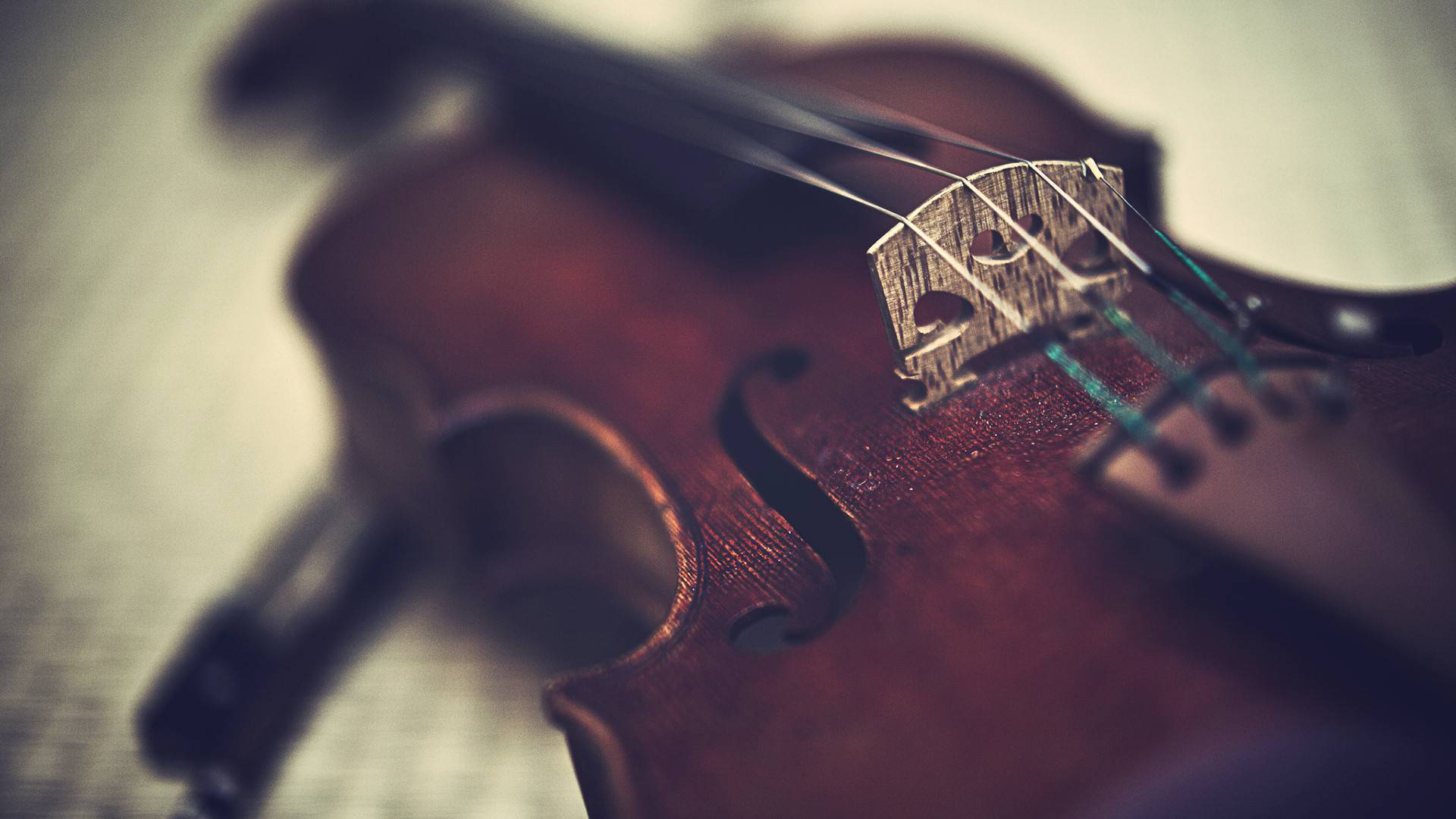 Photo free violin, strings, musical instrument