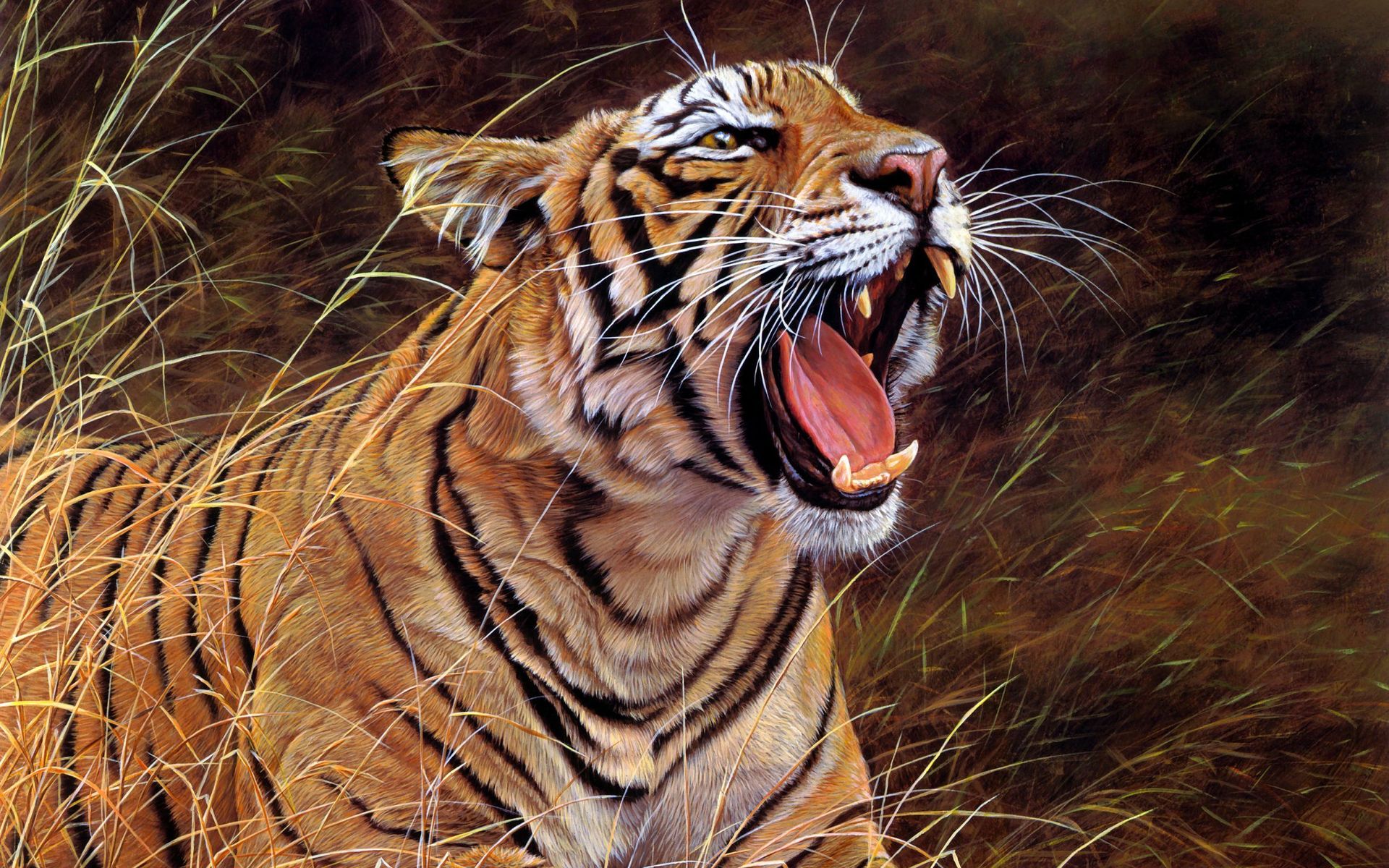 Wallpapers rendering tiger grin on the desktop