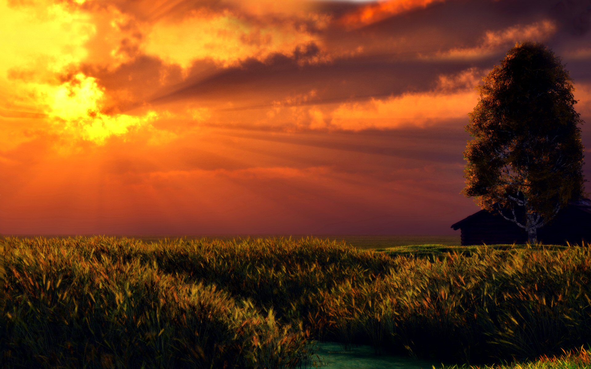 закат поле рожь sunset field rye скачать