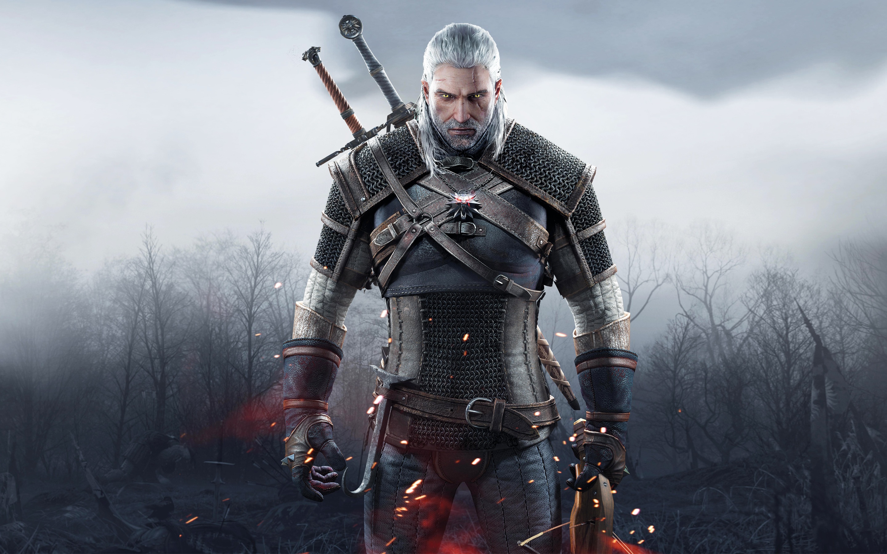 Wallpapers the witcher witcher face on the desktop