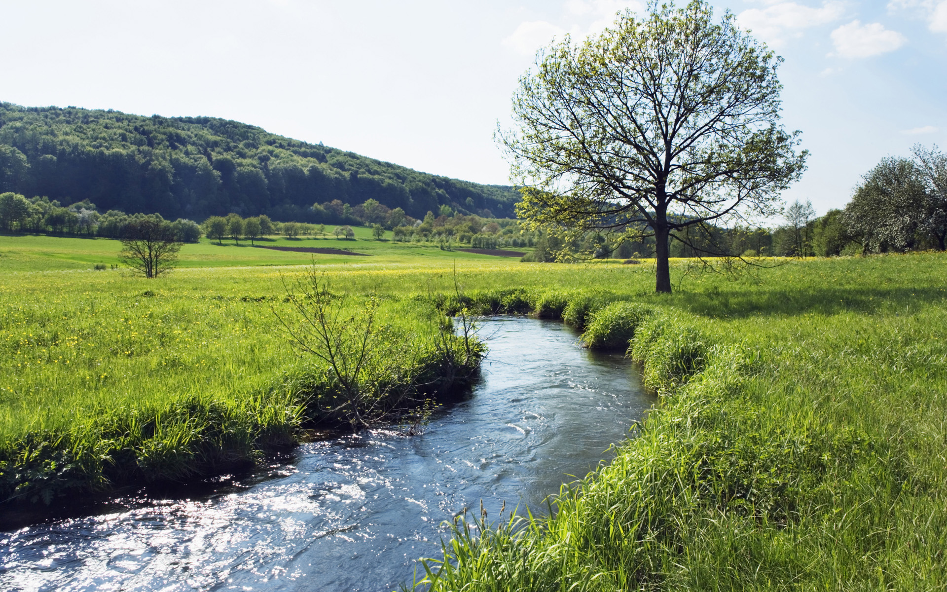 Бесплатное фото Красивые фотографии на тему вода, река, трава