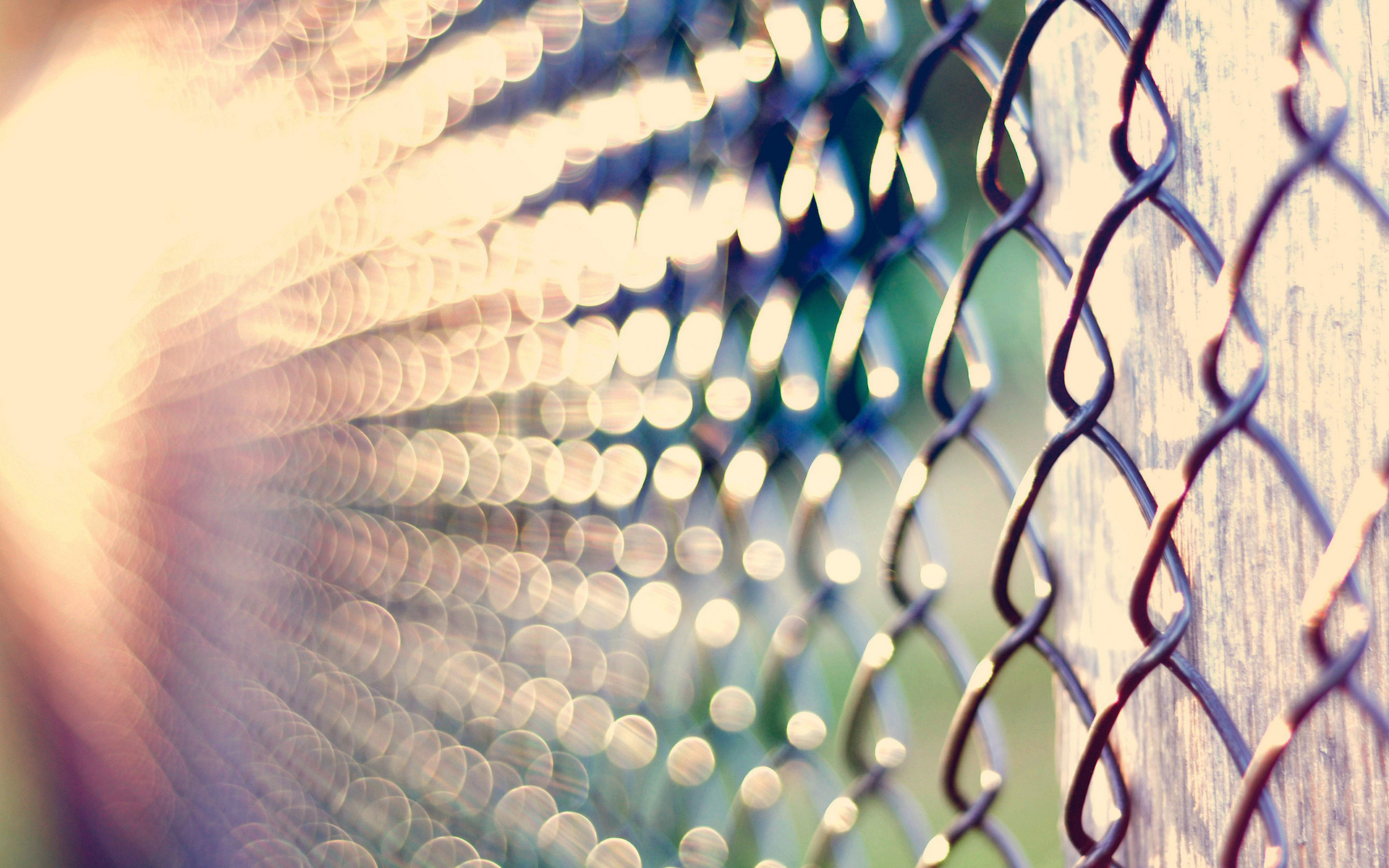 Wallpapers fence mesh wire on the desktop