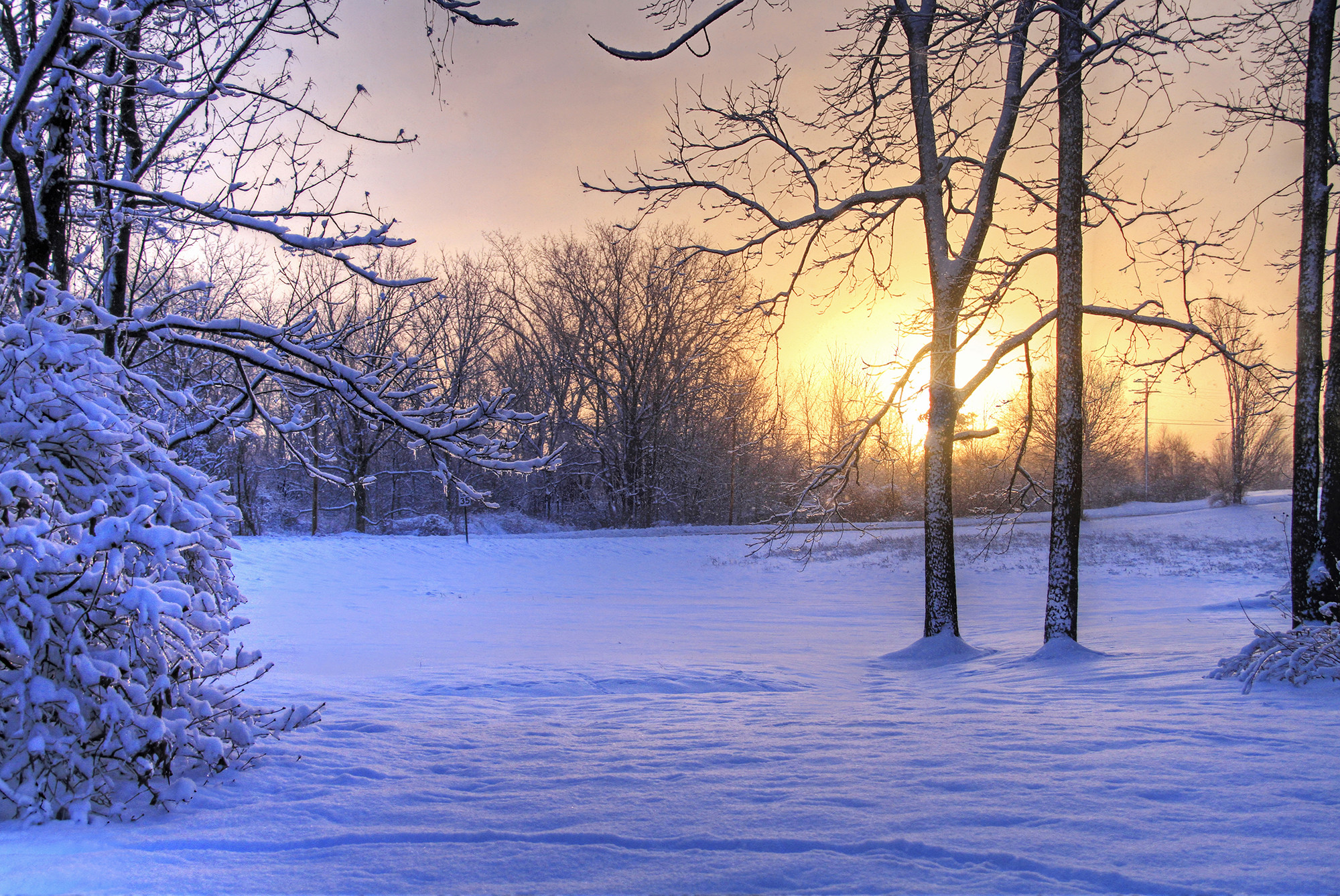 Хорошее зимнее видео. Зимняя природа. Красивые зимние пейзажи природы. Зимний пейзаж вертикальный. Зимние картинки на телефон.