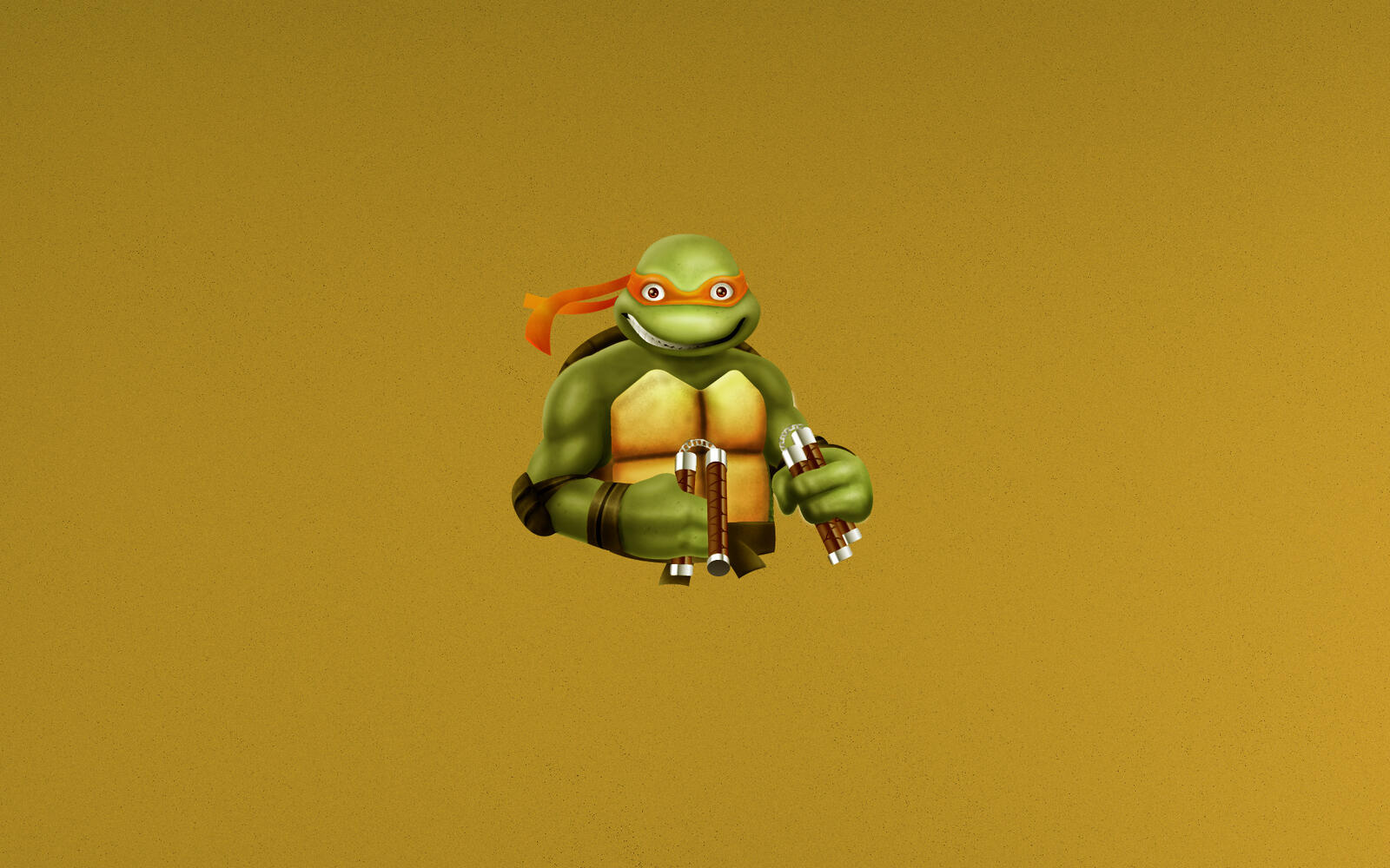 Wallpapers turtle ninja nunchuck on the desktop