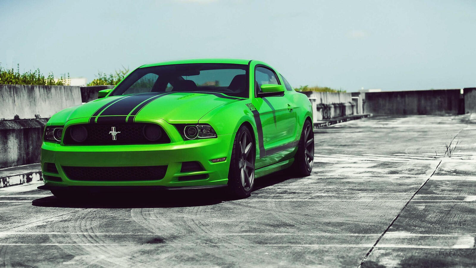 Wallpapers Ford Mustang Green on the desktop