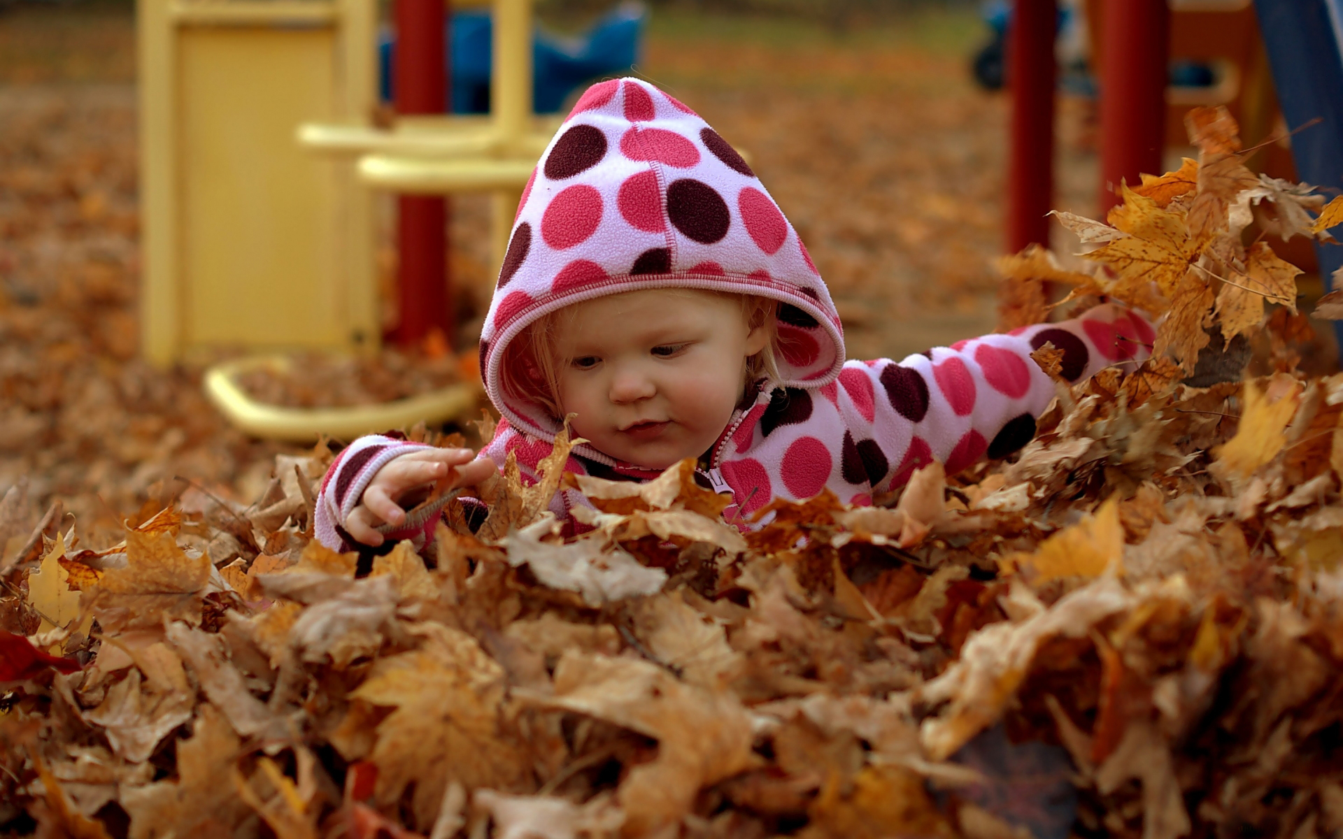 Фото бесплатно осень, ребенок, малыш