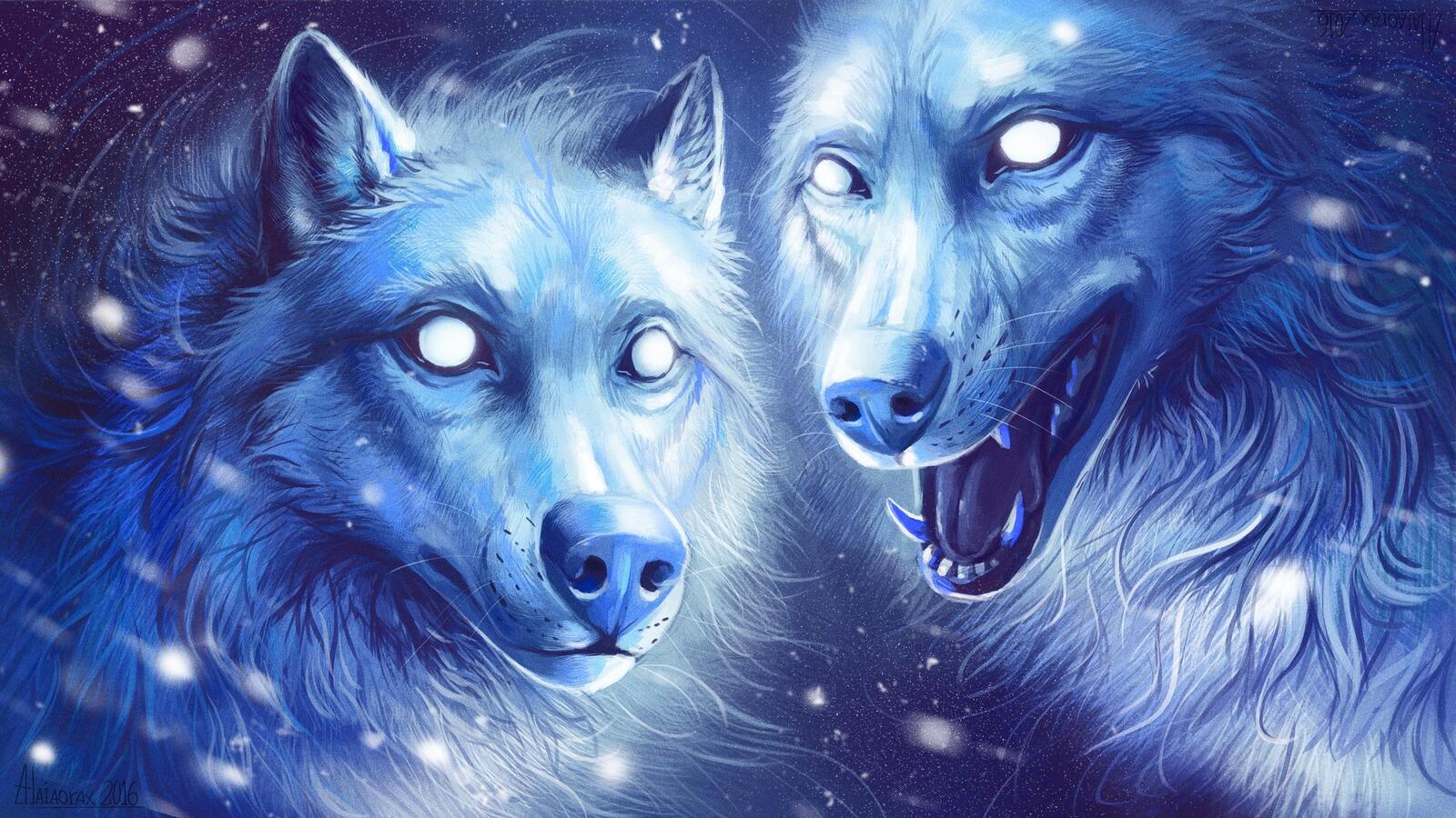 Wallpapers wolves beasts fantasy on the desktop