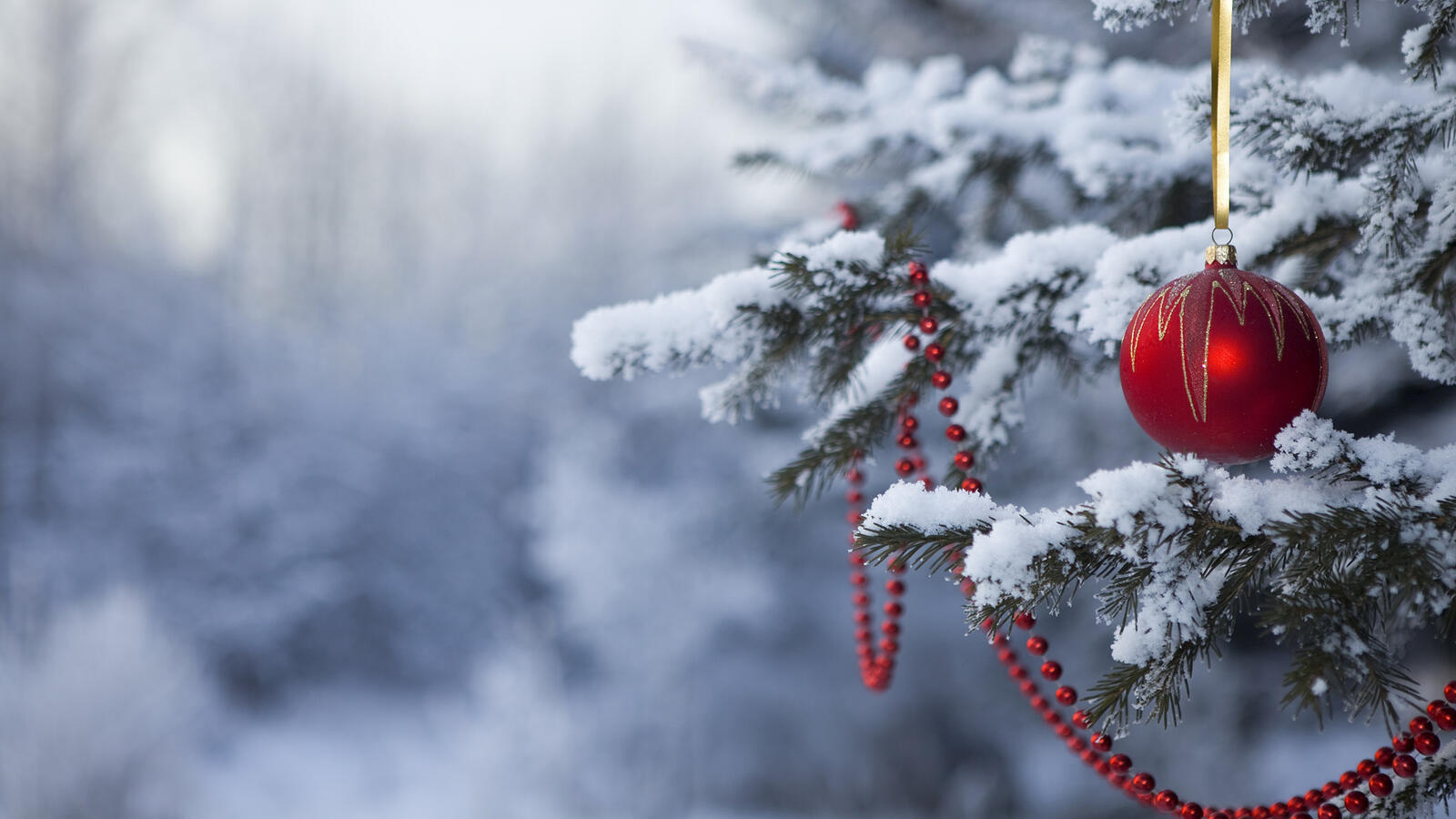 免费照片树枝上的雪与圣诞树玩具