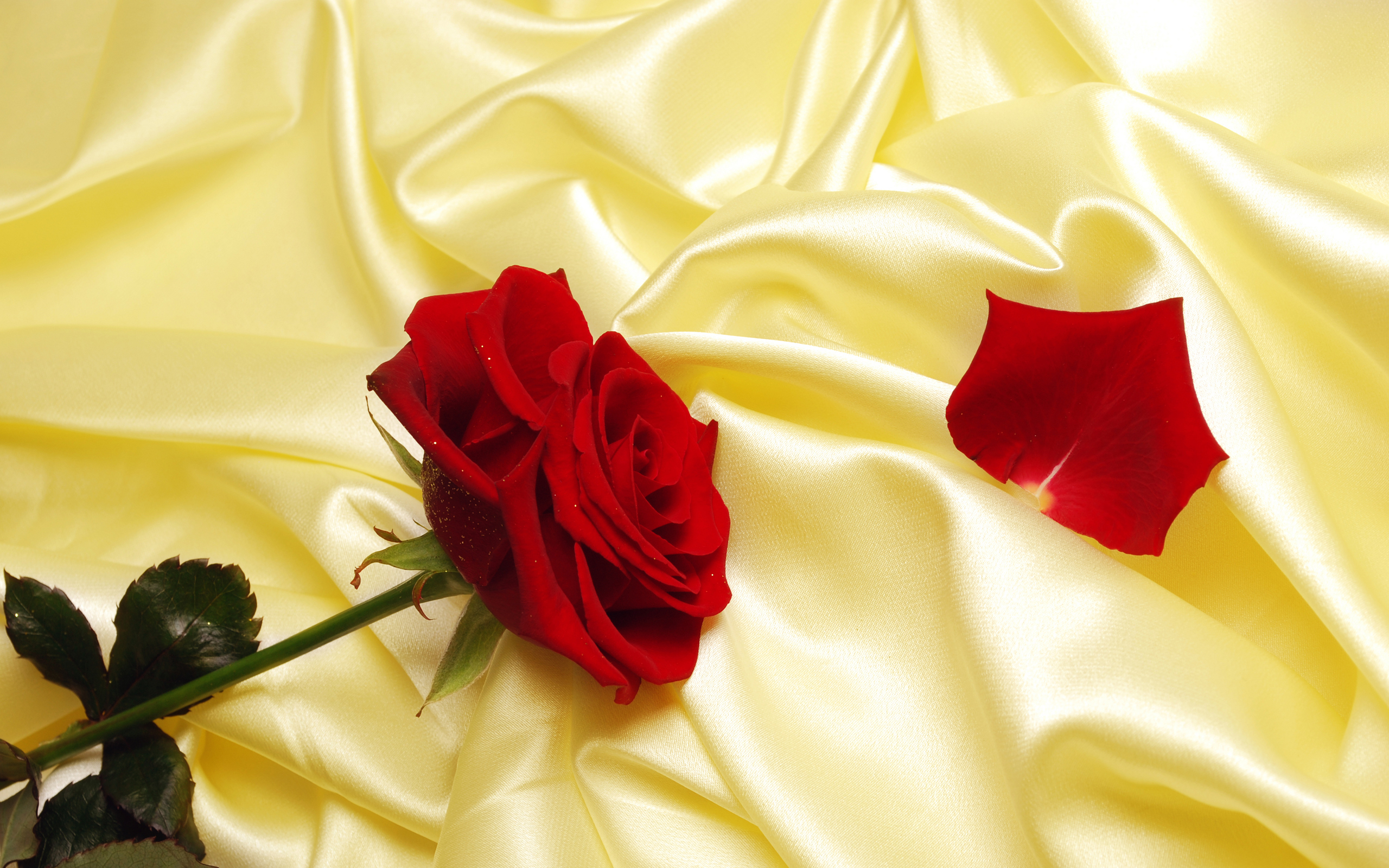 Бесплатное фото Роза на золотой ткани