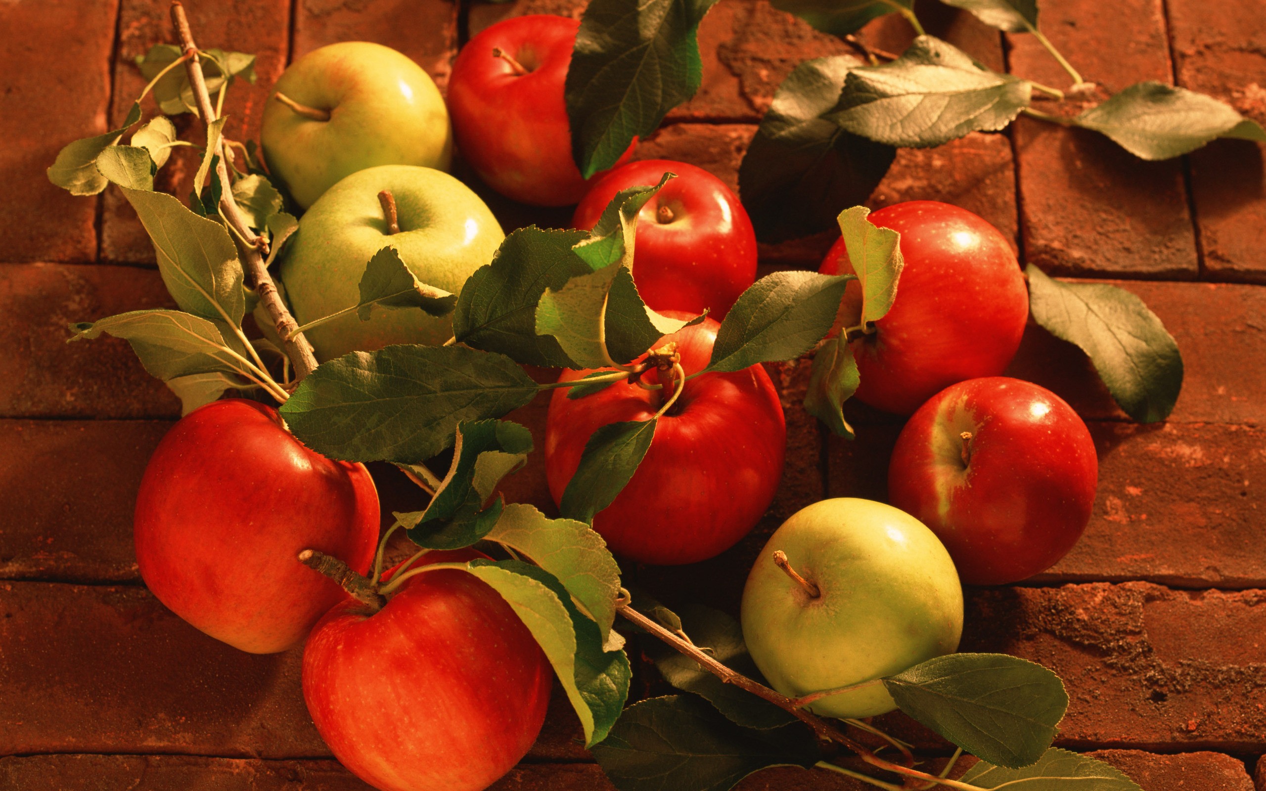Обои яблоки красные листья на рабочий стол