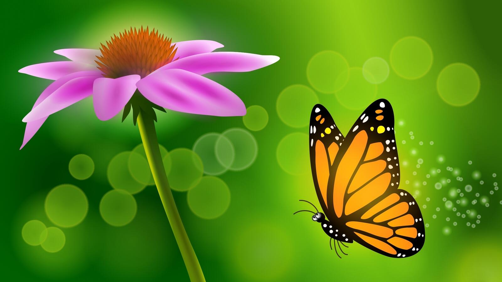 Wallpapers pink flower butterfly on the desktop