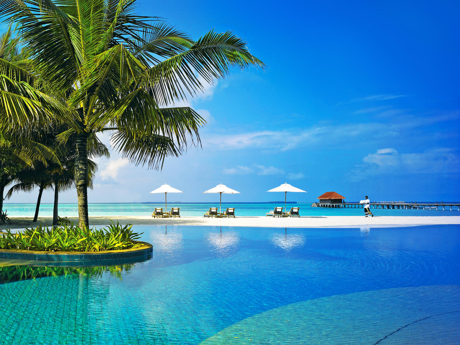Обои Мальдивы тропики пейзажи на рабочий стол