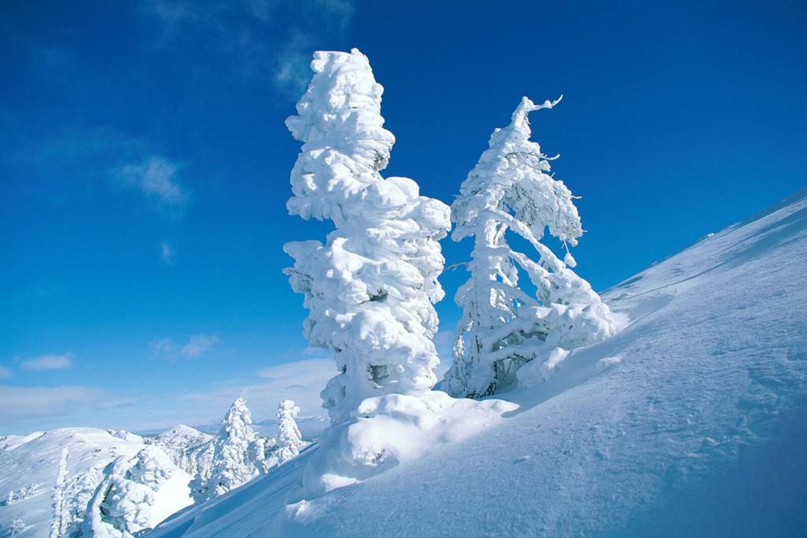 Обои гора уклон снег на рабочий стол