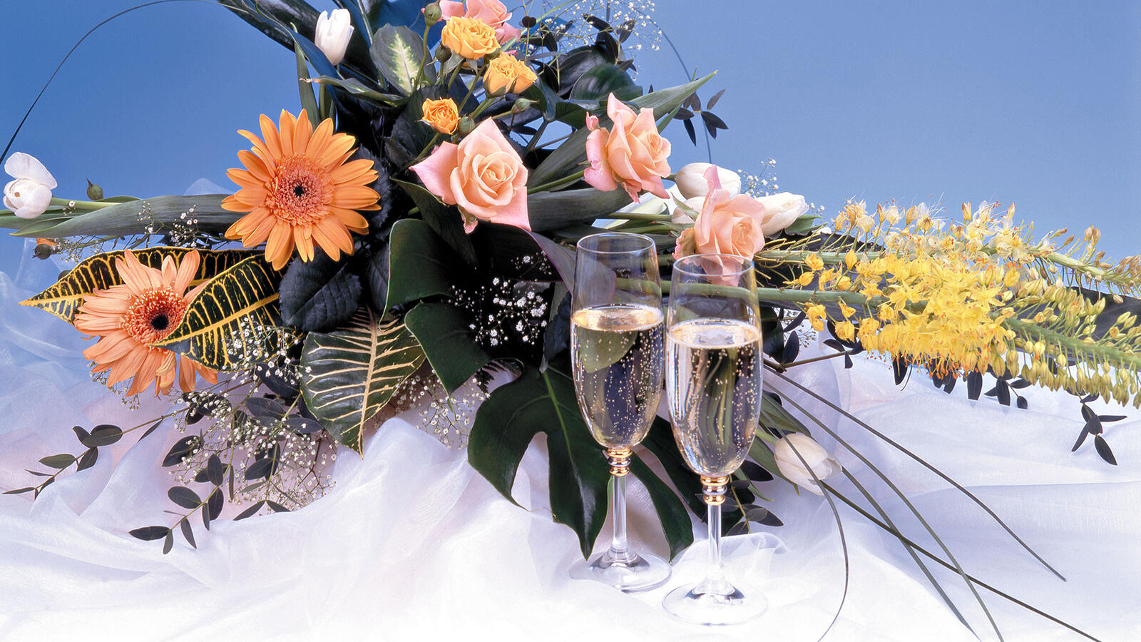 桌面上的壁纸花束 玻璃 香槟酒