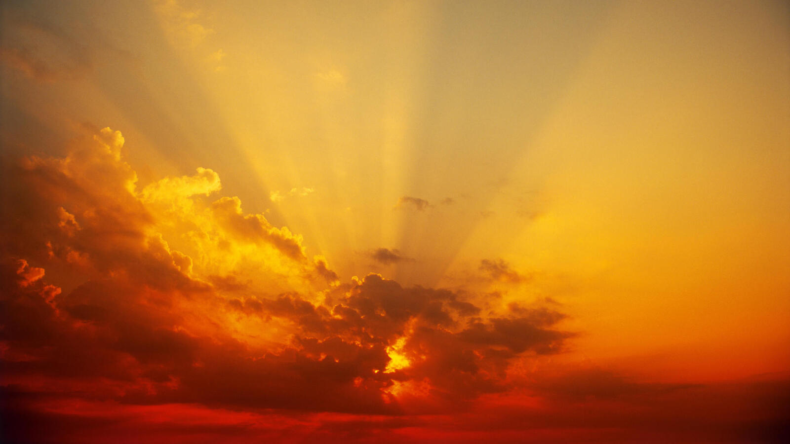 Wallpapers nature sky rays on the desktop