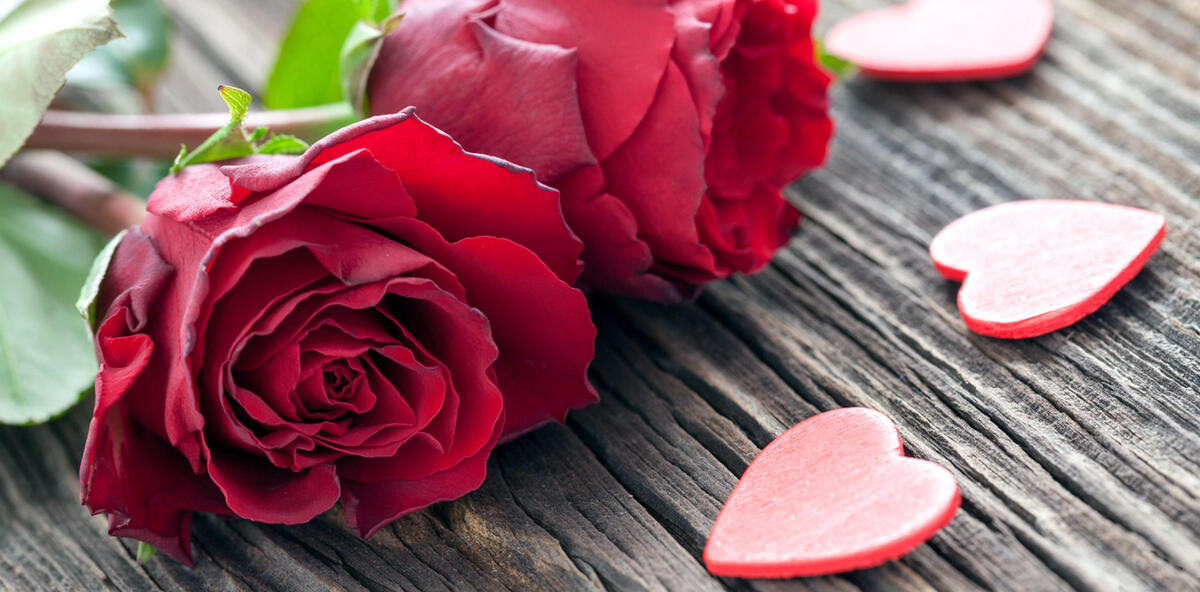 Красная роза с сердечками на день влюбленных
