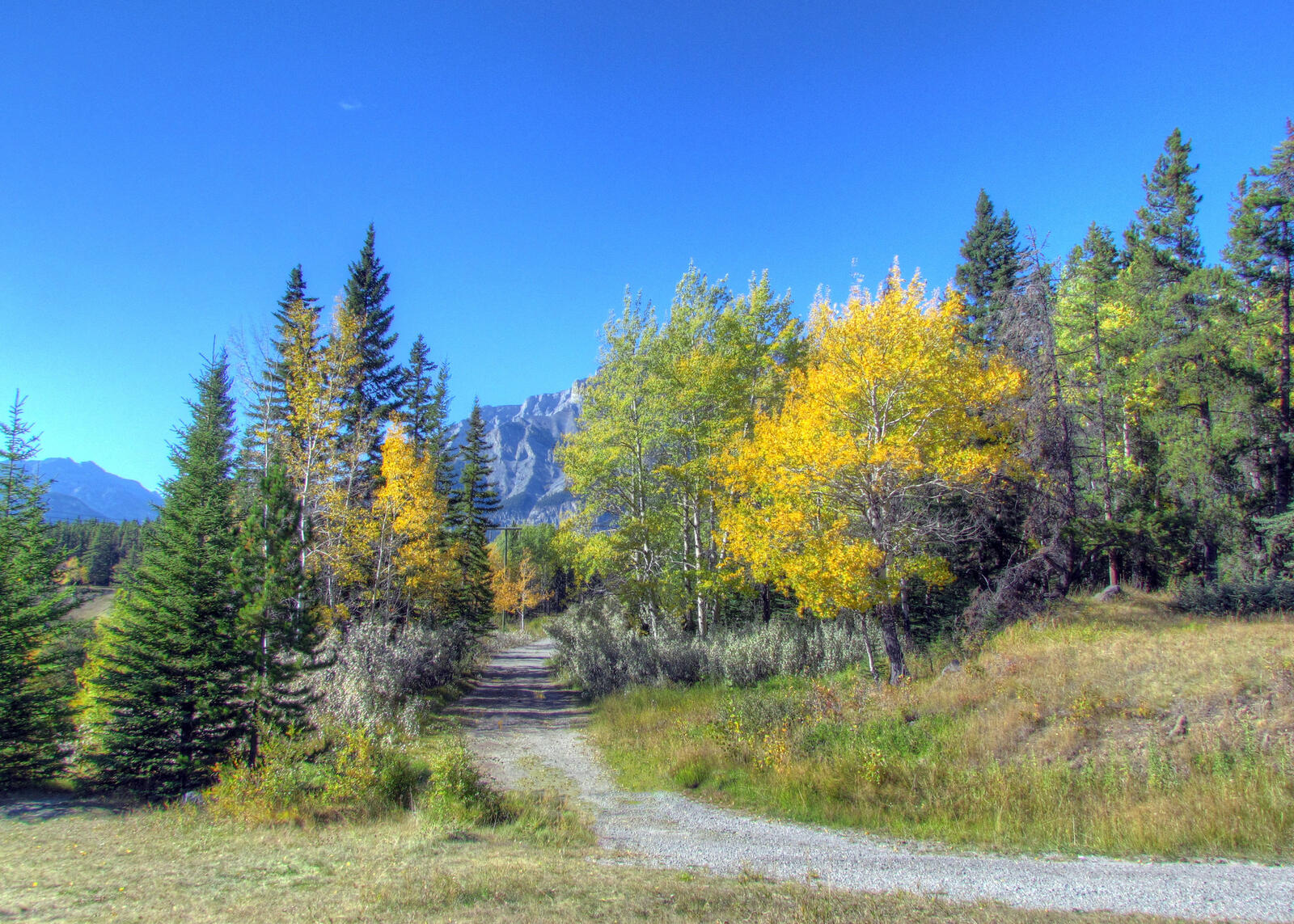 Обои Johnson Lake Banff National Park осень на рабочий стол