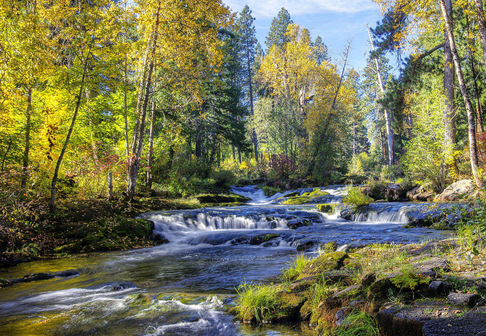 Wallpapers nature autumn forest river on the desktop