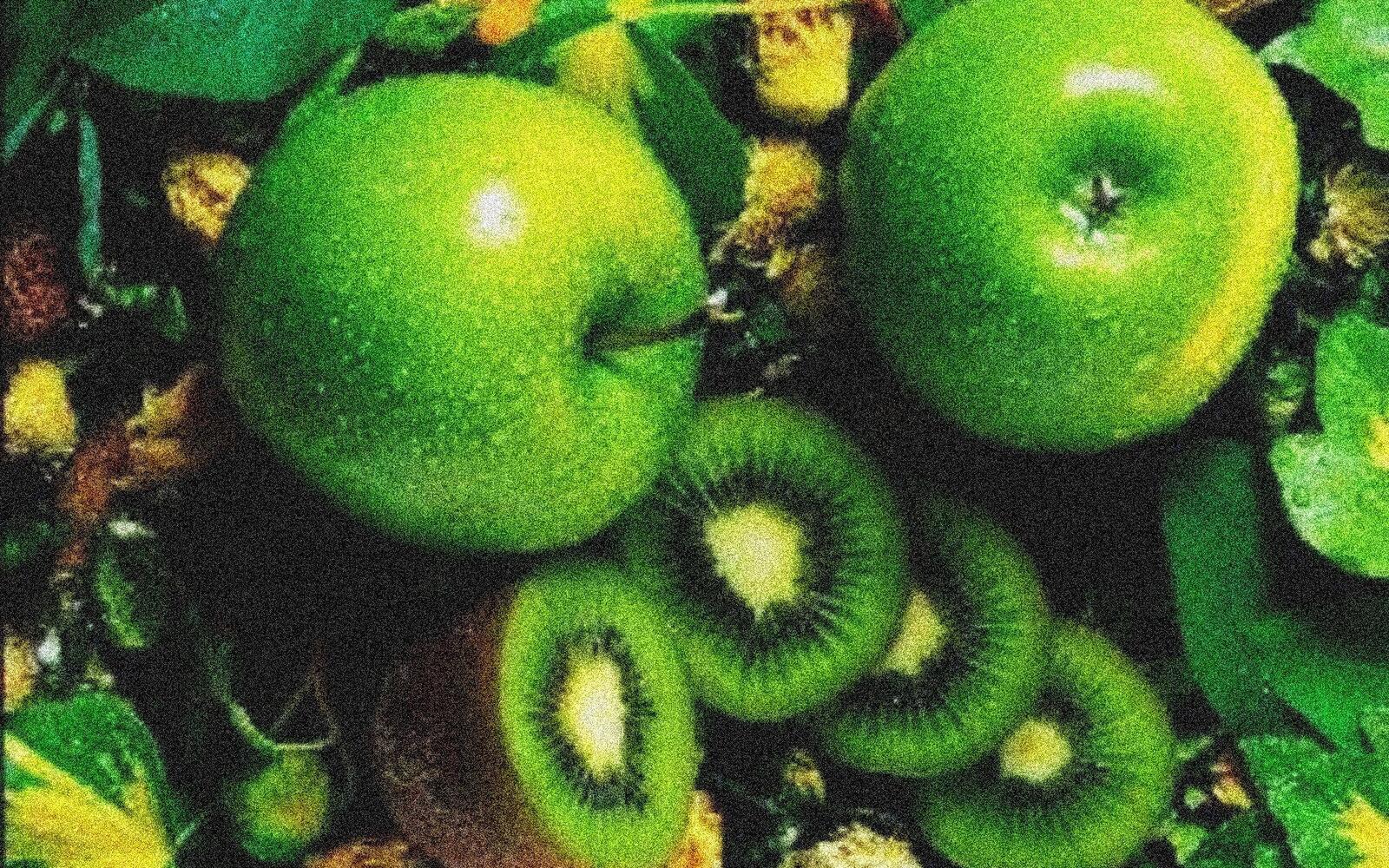 Wallpapers slices fruits kiwi on the desktop