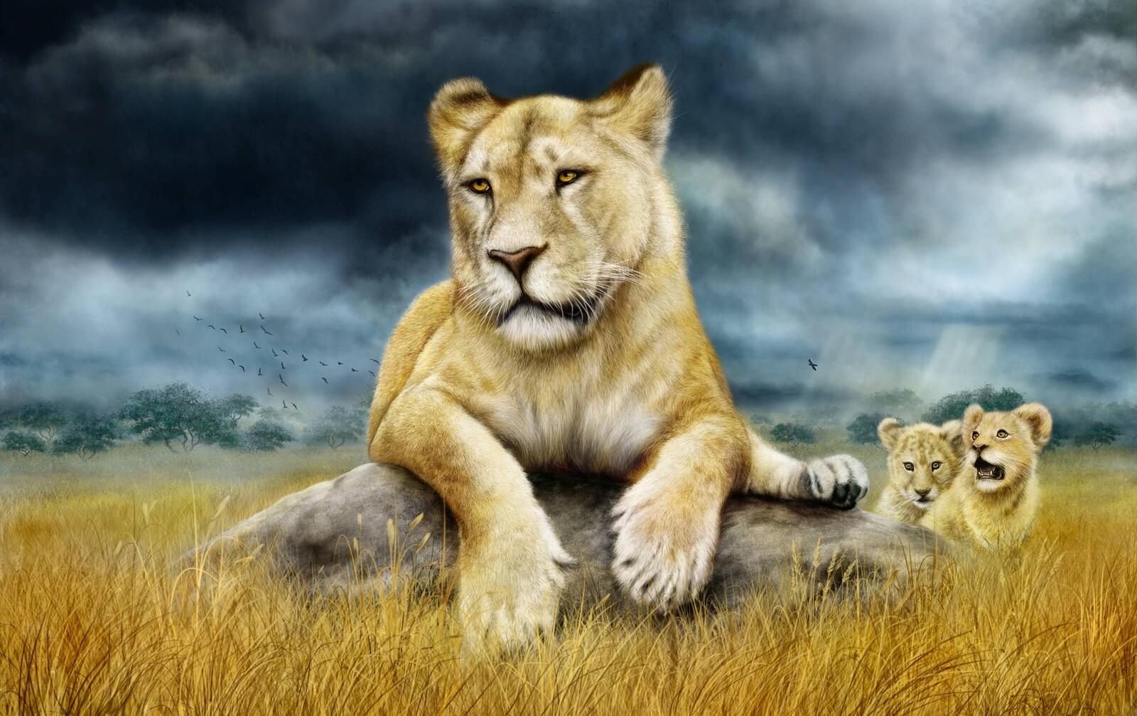 Wallpapers lioness cubs art on the desktop