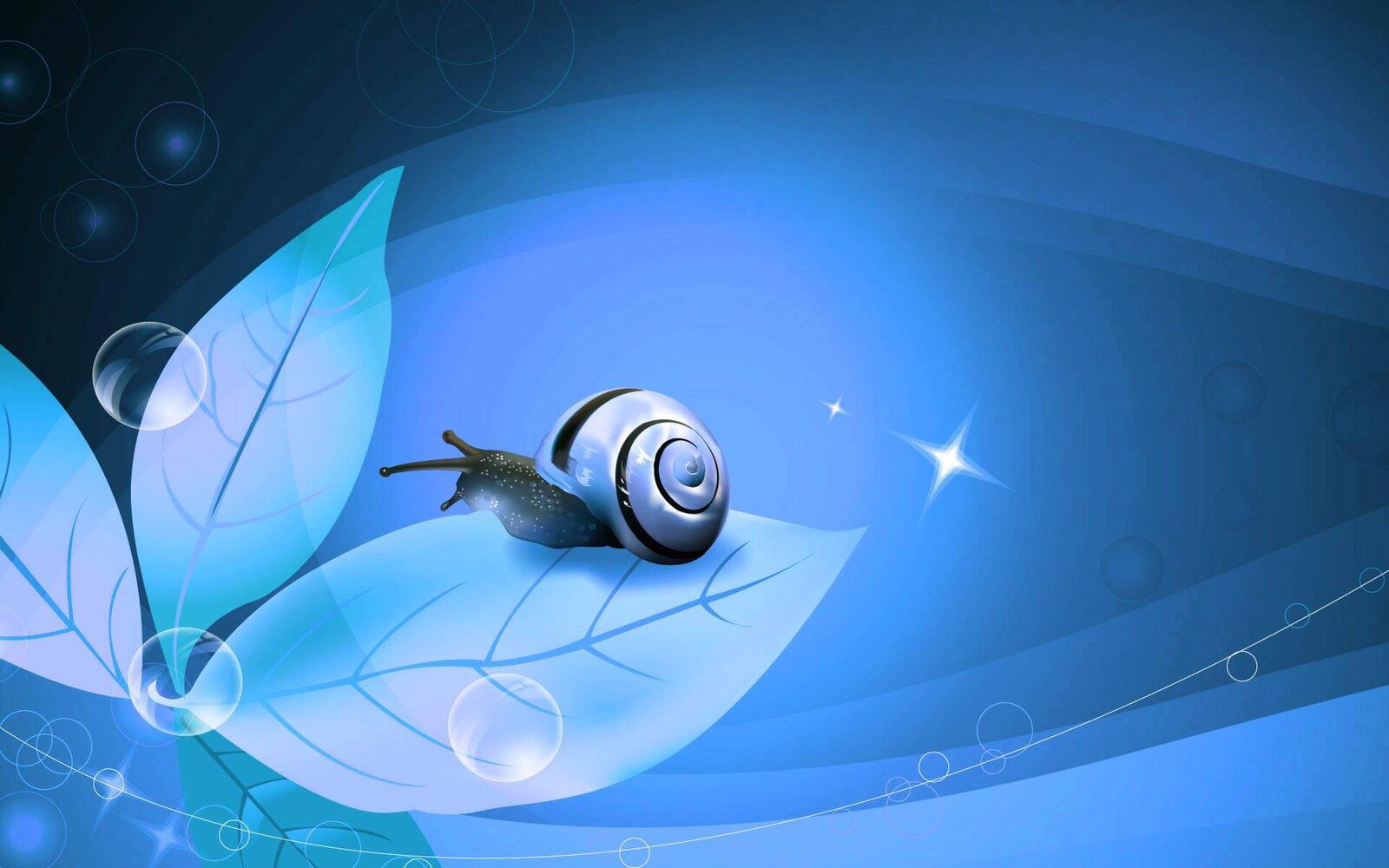 Wallpapers texture background snail on the desktop