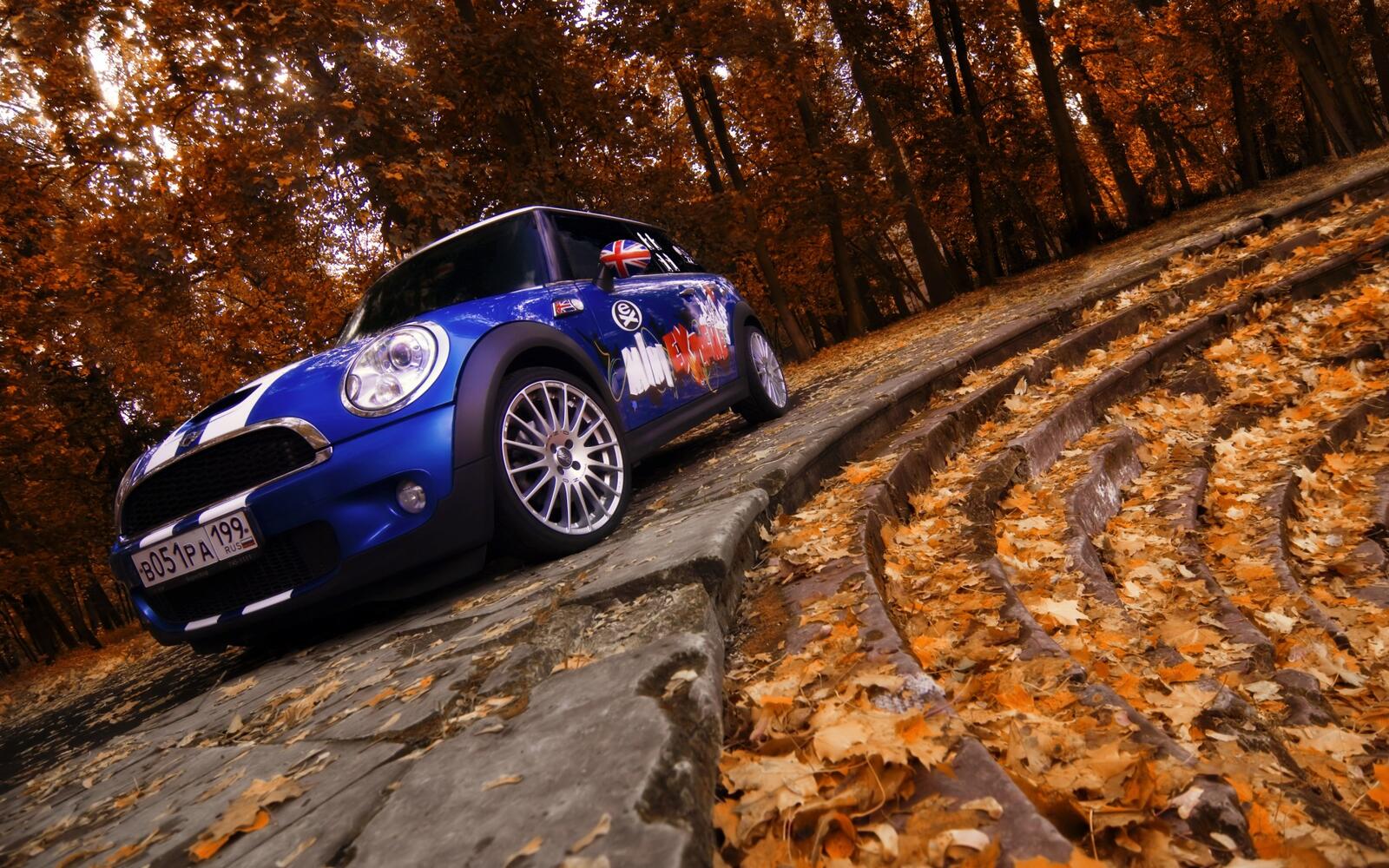 Wallpapers mini cooper stickers blue on the desktop