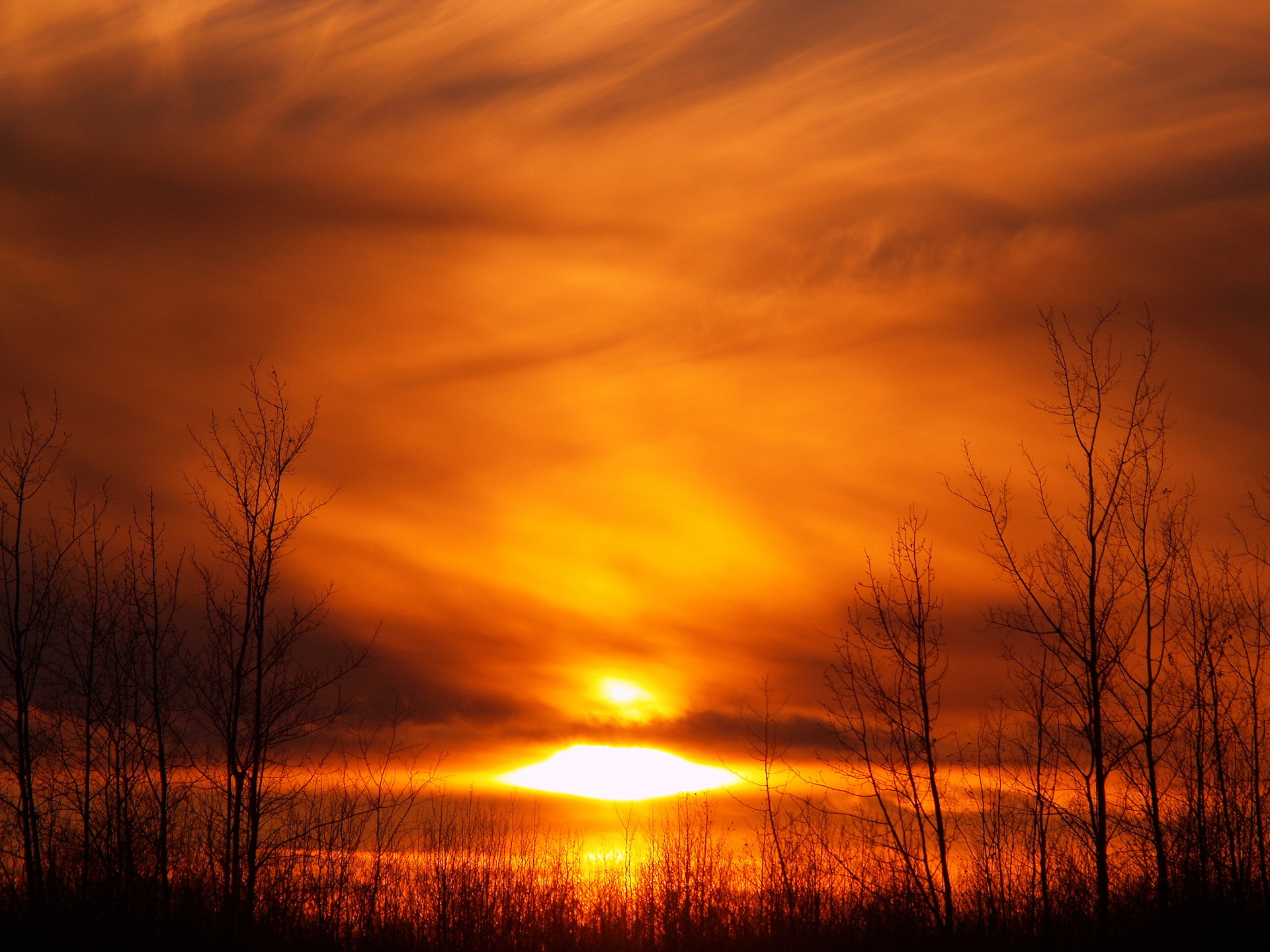 Фото бесплатно закат, осень, оранжевый