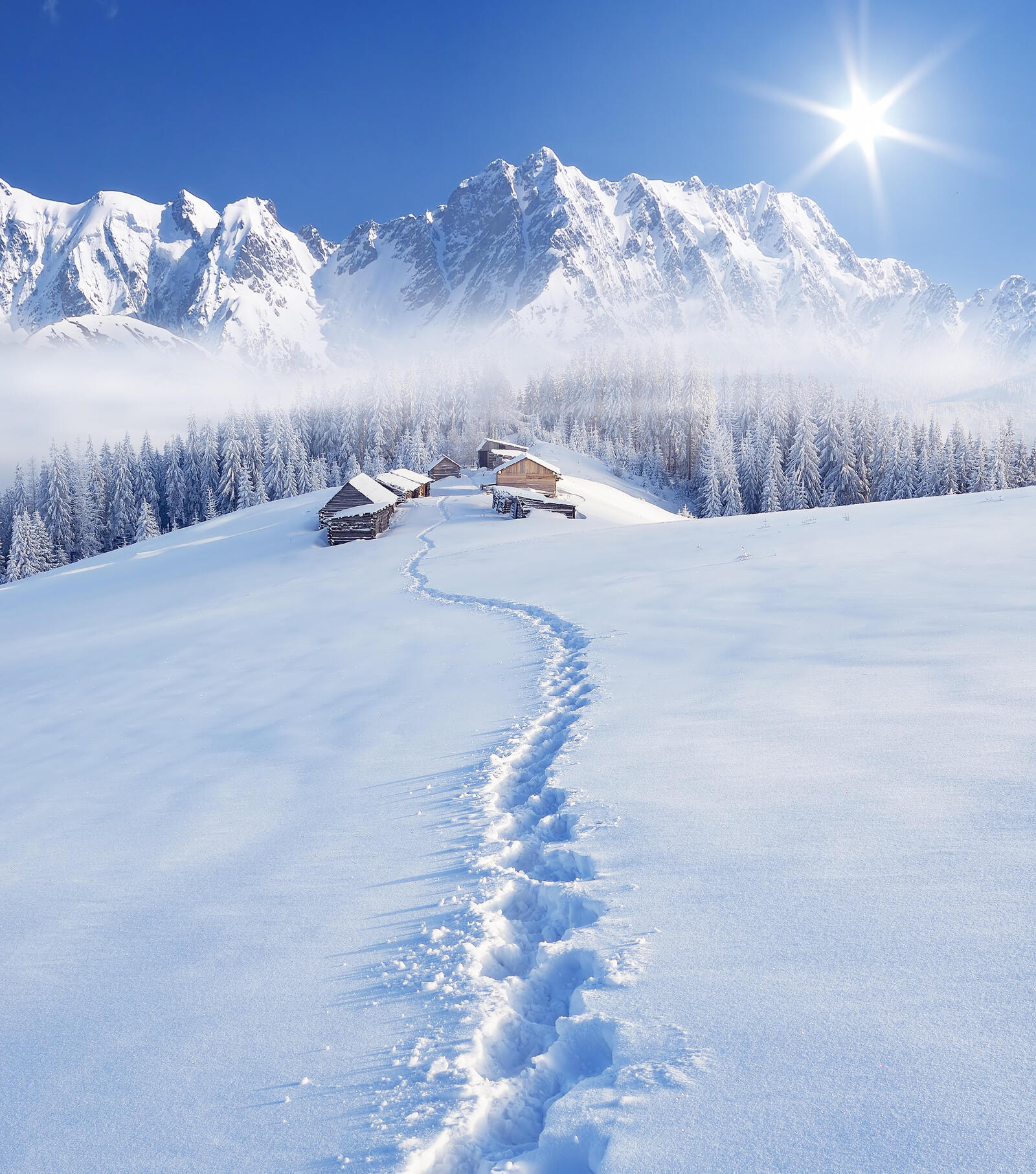 Wallpapers snow hills path on the desktop