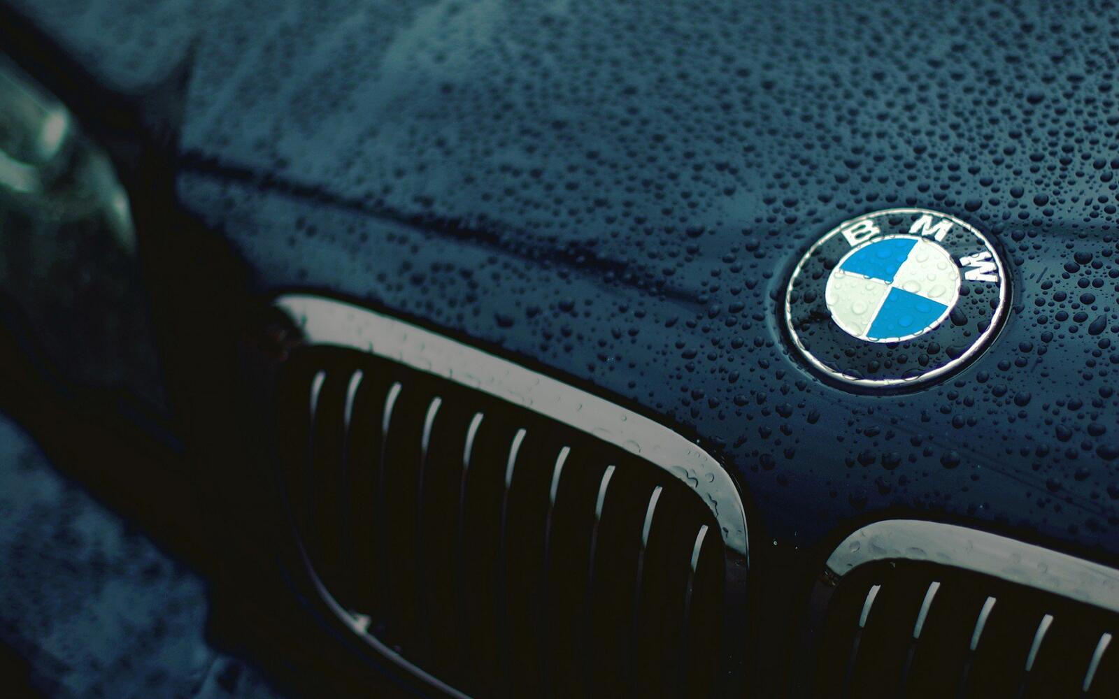 Wallpapers bmw badge grille on the desktop