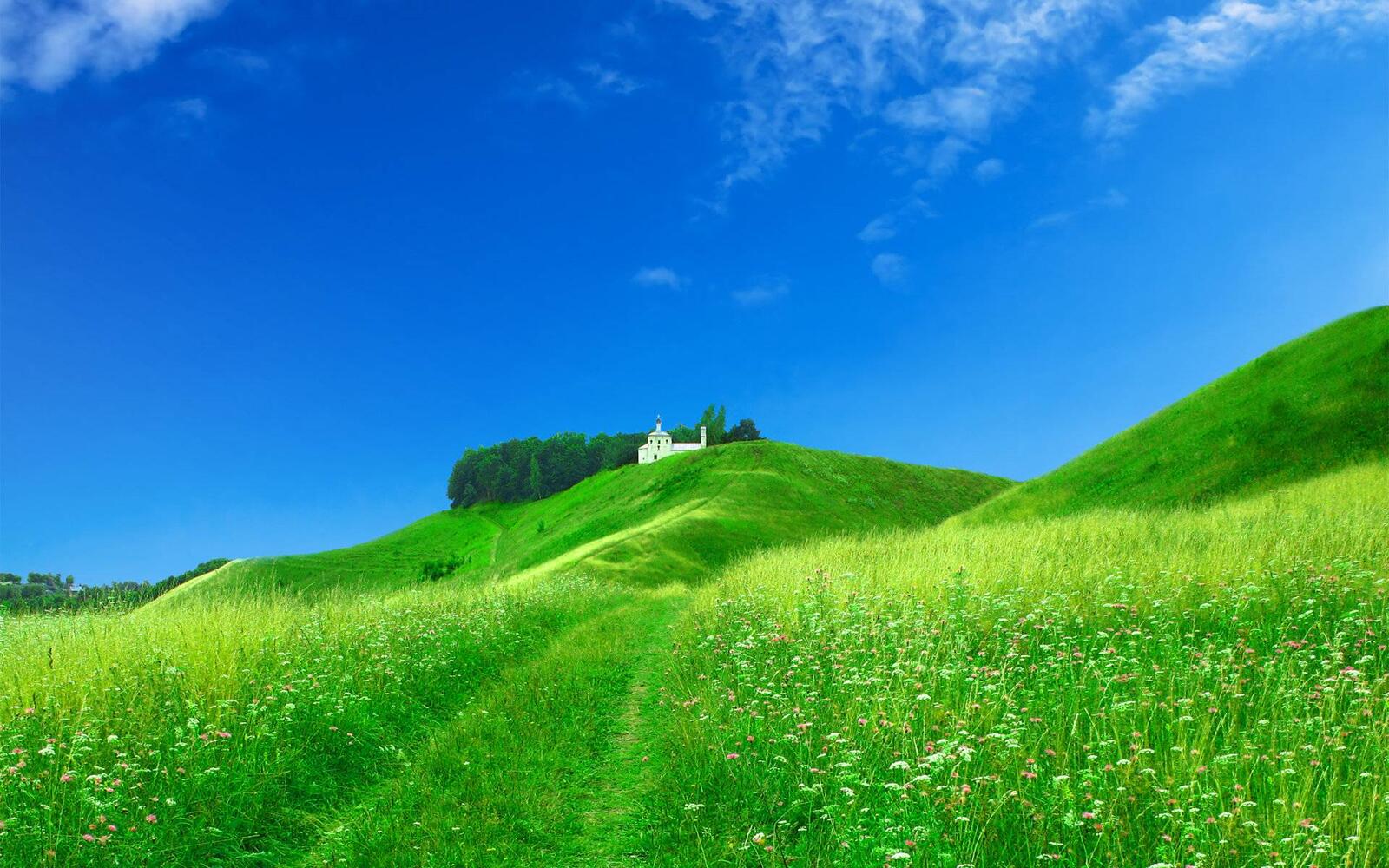 Wallpapers bright hilly field on the desktop