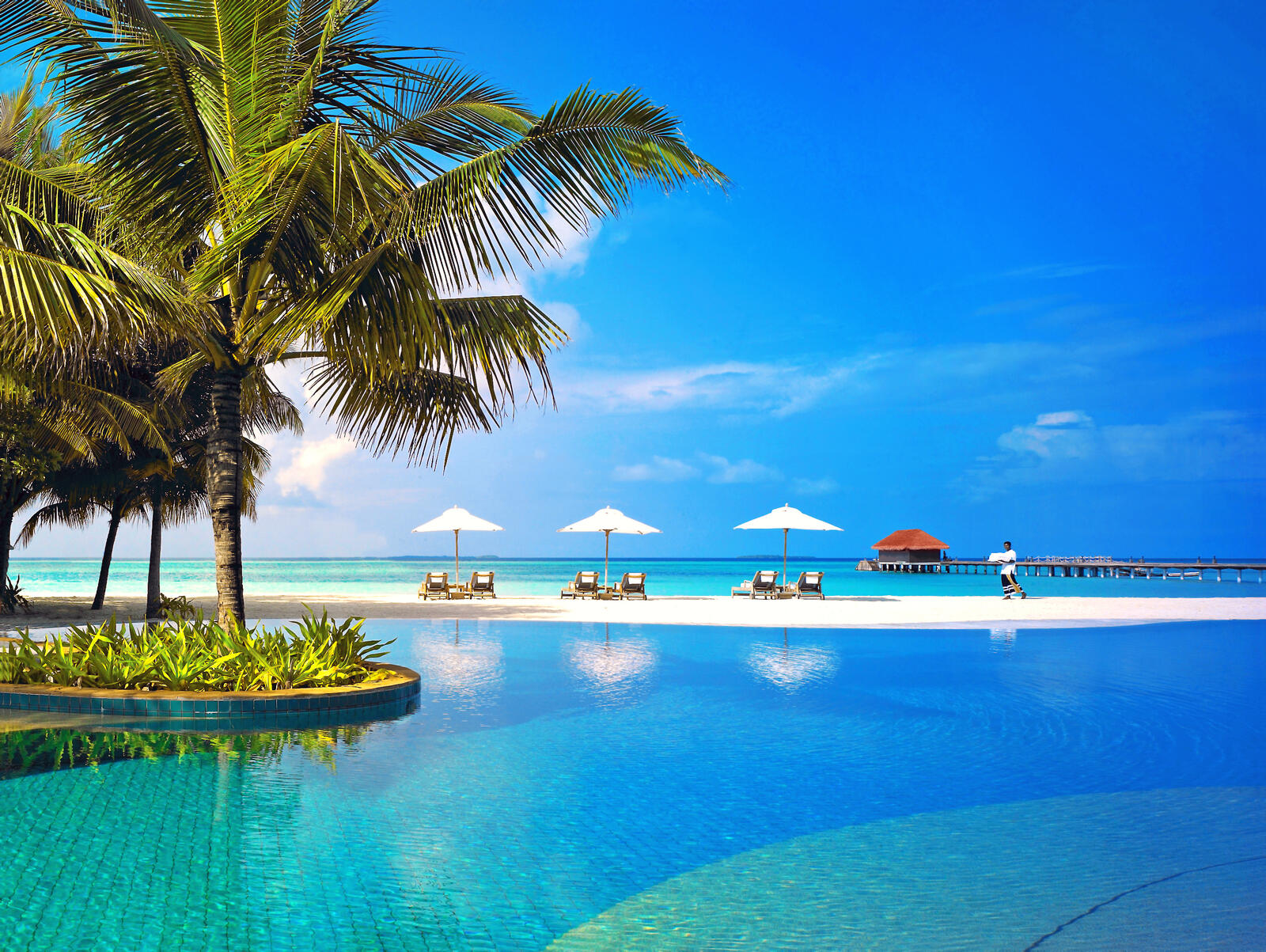Обои Мальдивы пальмы курорт на рабочий стол