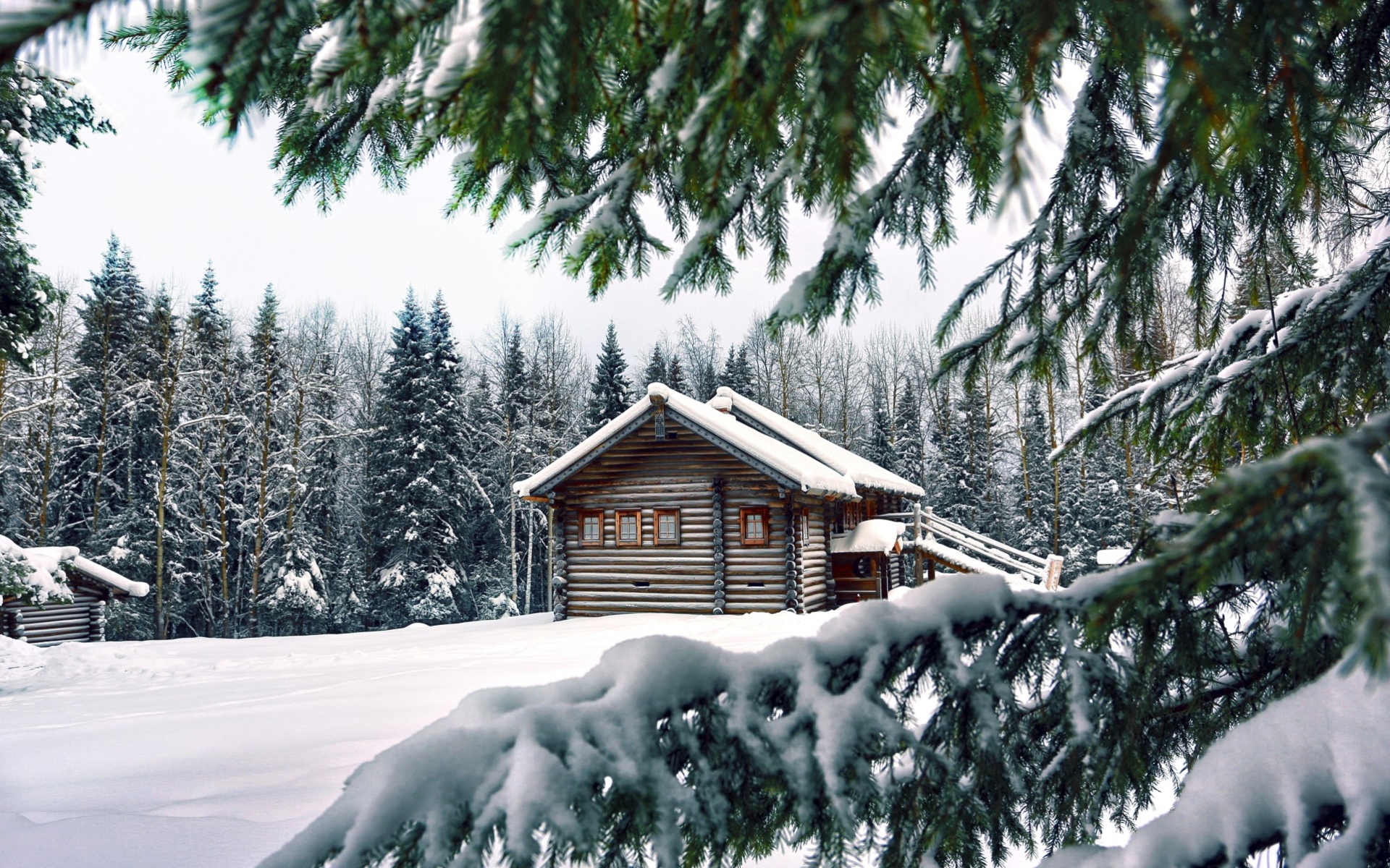 Обои домик в снежном лесу снег зима на рабочий стол