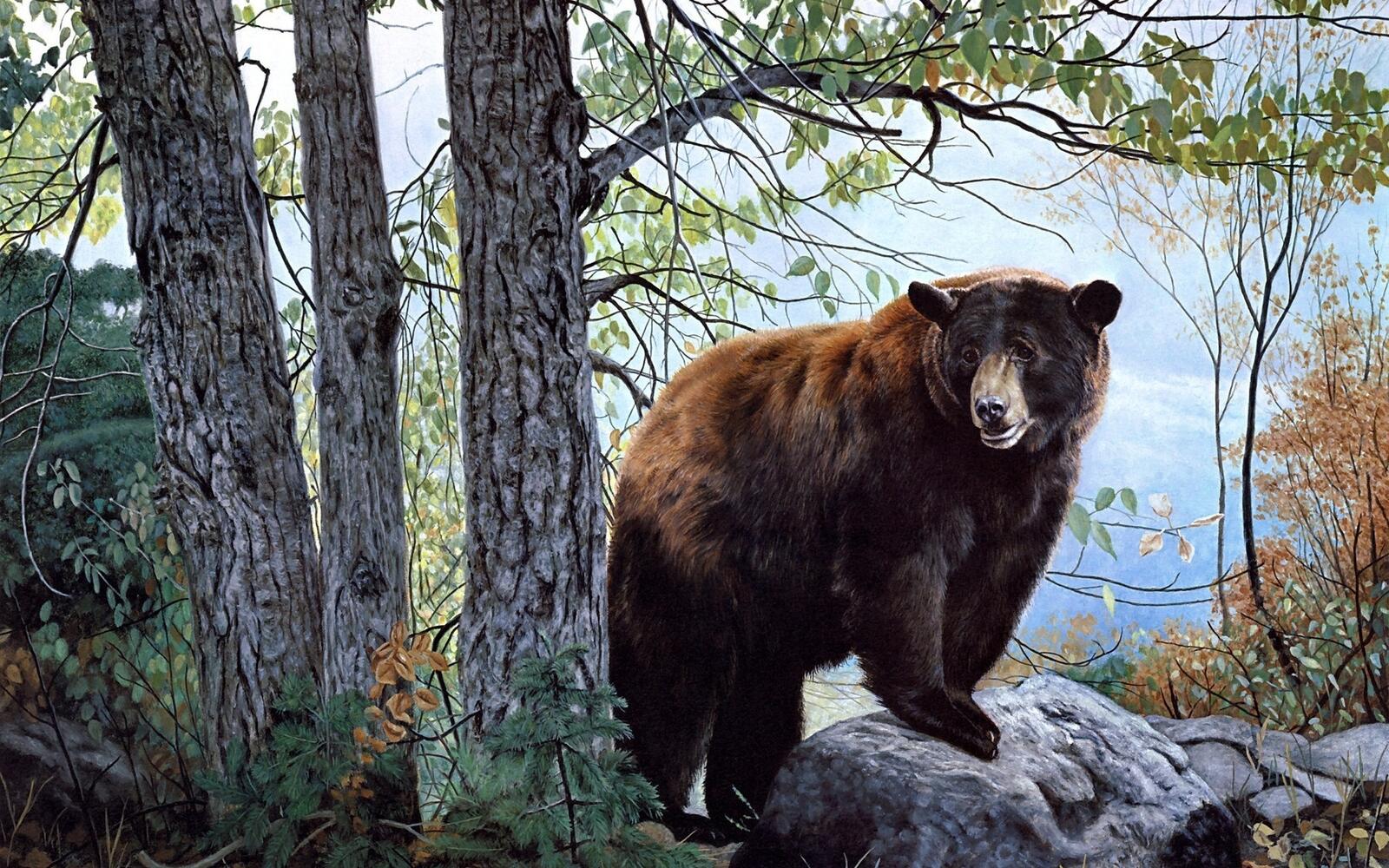 Обои медведь картина деревья на рабочий стол