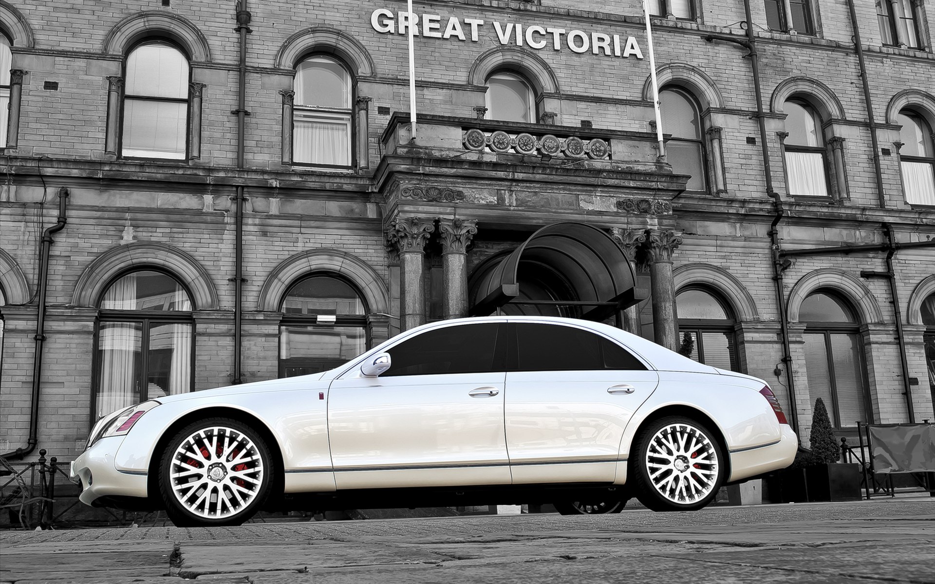 Wallpapers maybach 2011 white on the desktop