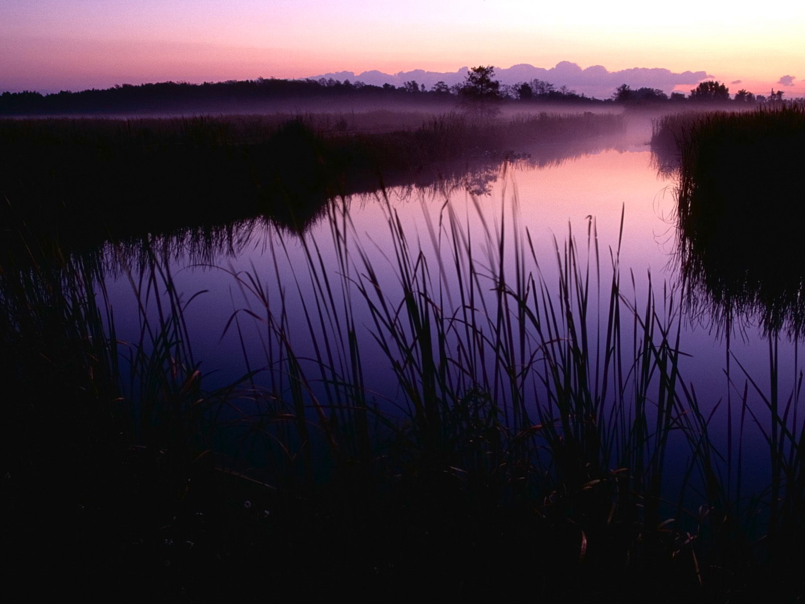 Бесплатное фото Фиолетовый рассвет у маленькой реки
