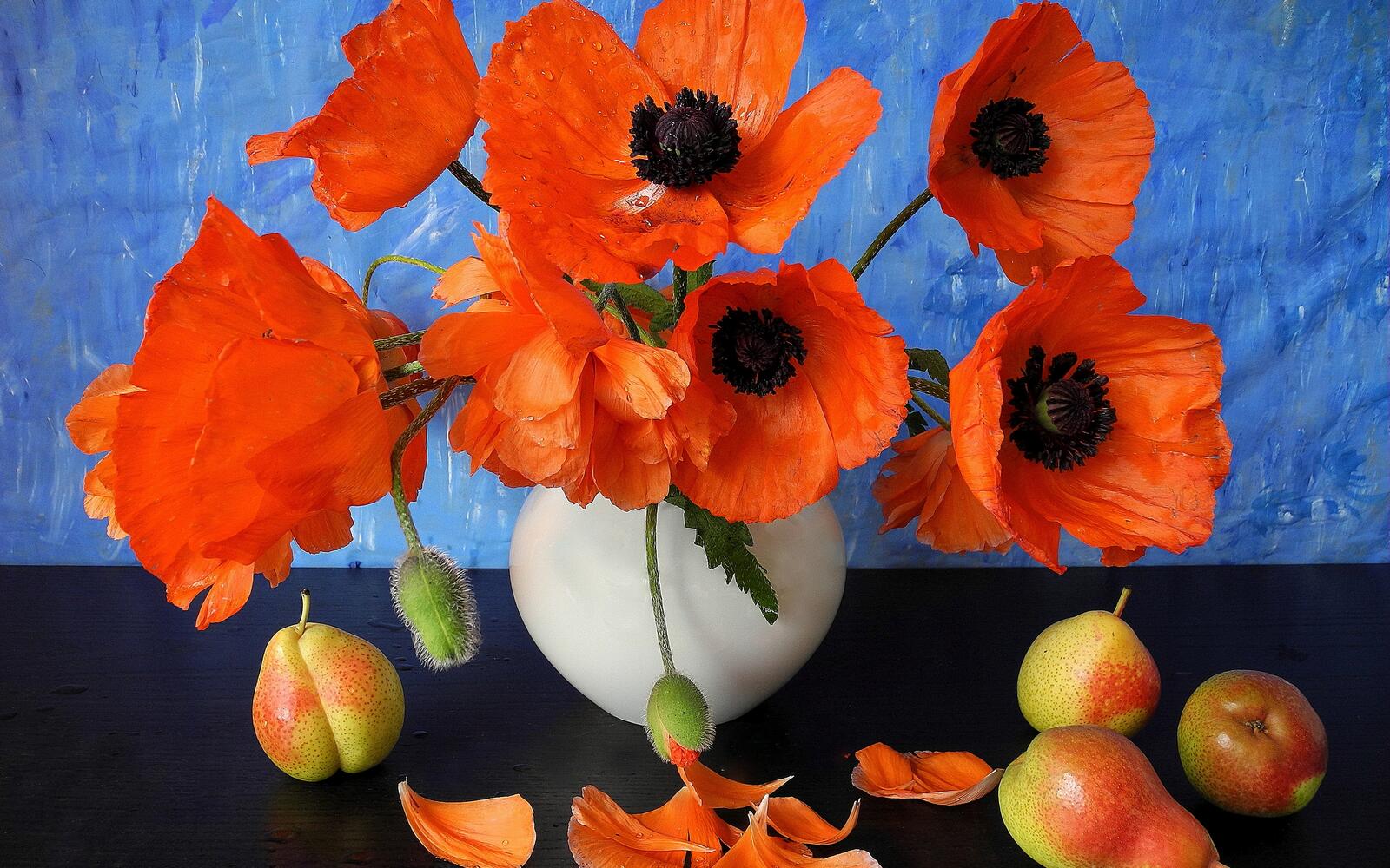 Wallpapers still life vase poppies on the desktop