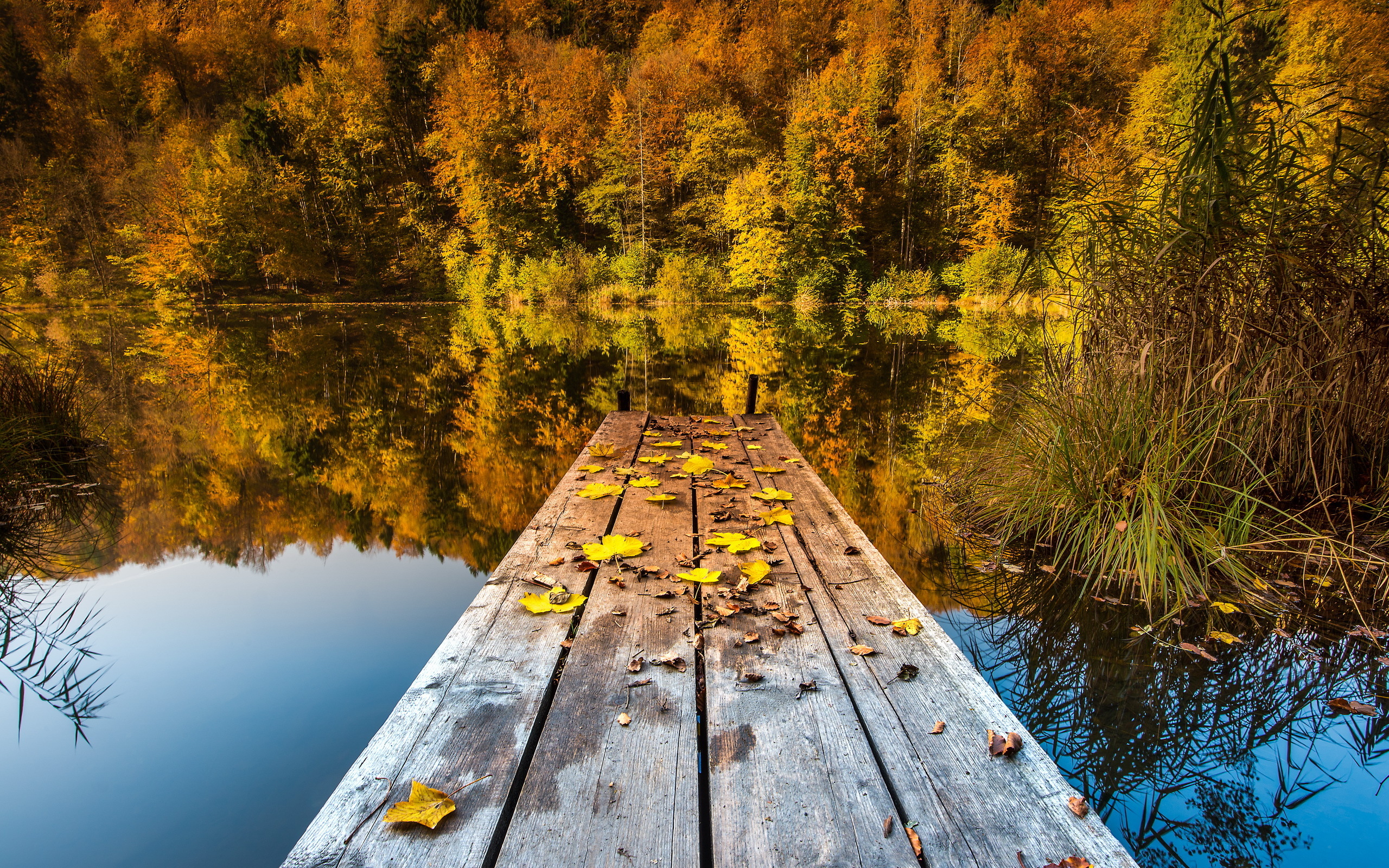 Wallpapers autumn lake bridge on the desktop
