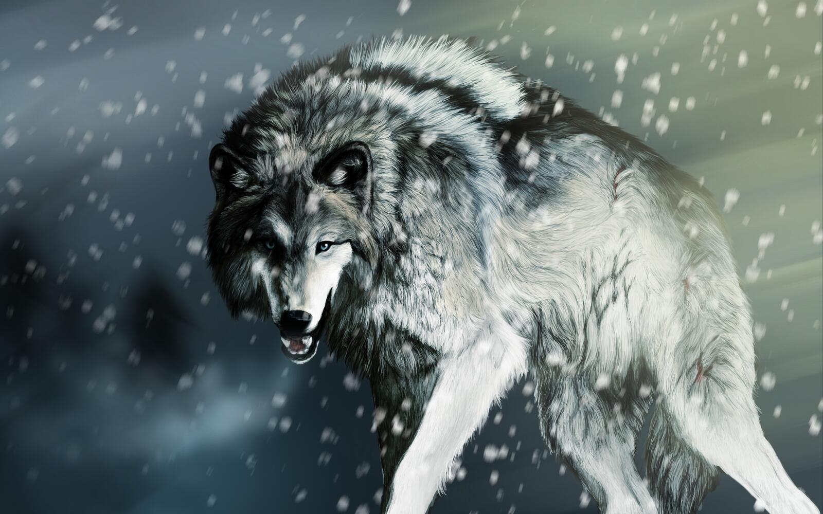 Wallpapers wolf snow bloody wounds on the desktop