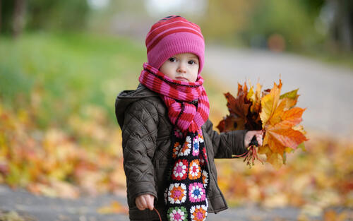 A little girl picks up fallen leaves