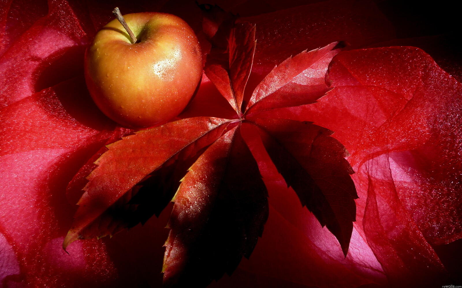 Обои фрукт яблоко лист на рабочий стол