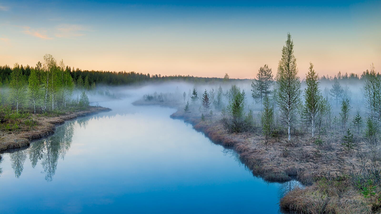 Wallpapers taiga trees river on the desktop